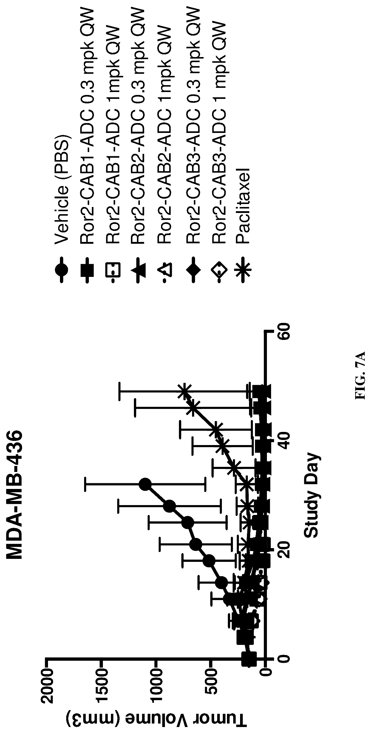 Patent US12311032 Figure 10 – Anti-Ror2 antibodies, antibody fragments, their immunoconjugates and uses thereof