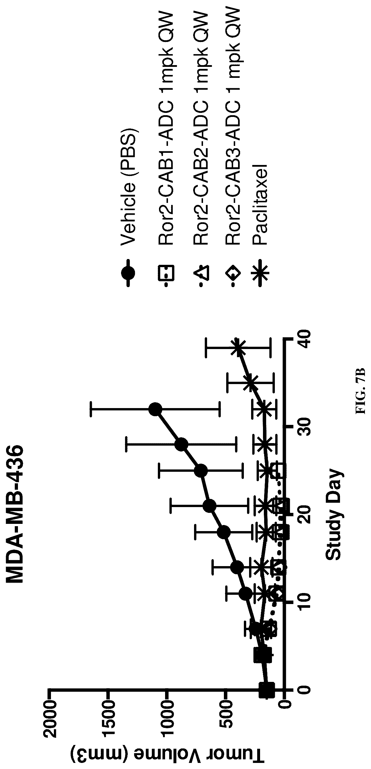 Patent US12311032 Figure 11 – Anti-Ror2 antibodies, antibody fragments, their immunoconjugates and uses thereof