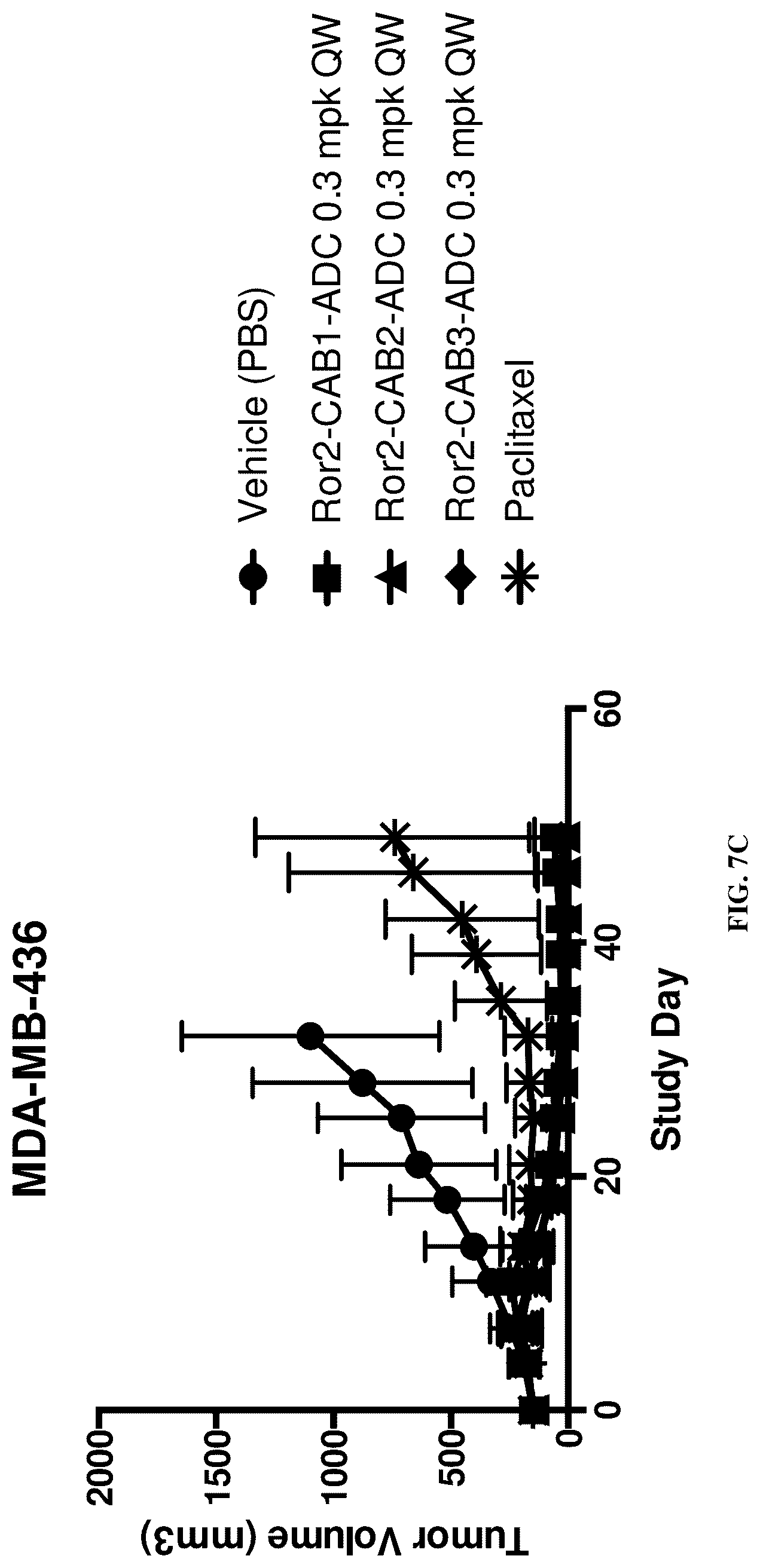 Patent US12311032 Figure 12 – Anti-Ror2 antibodies, antibody fragments, their immunoconjugates and uses thereof