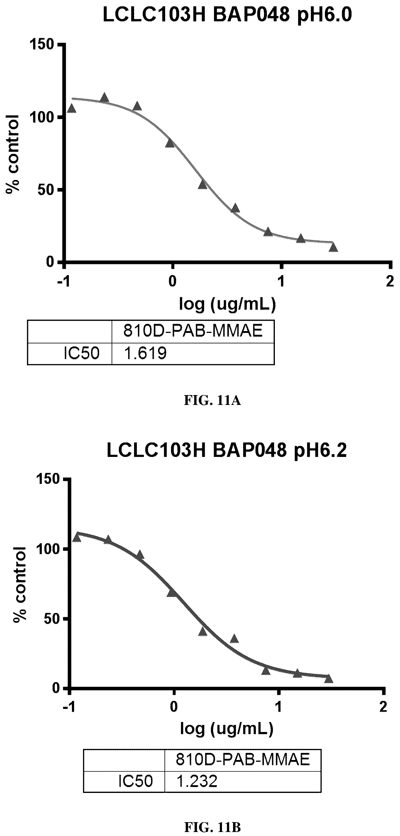 Patent US12311032 Figure 15 – Anti-Ror2 antibodies, antibody fragments, their immunoconjugates and uses thereof