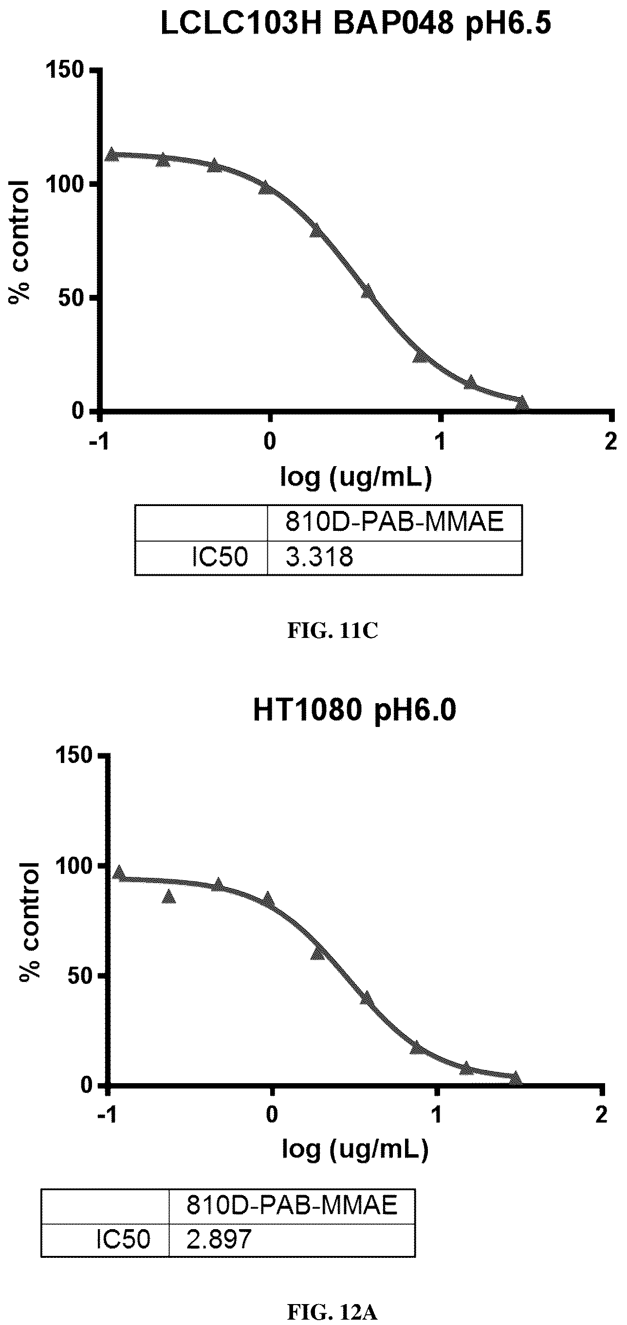 Patent US12311032 Figure 16 – Anti-Ror2 antibodies, antibody fragments, their immunoconjugates and uses thereof
