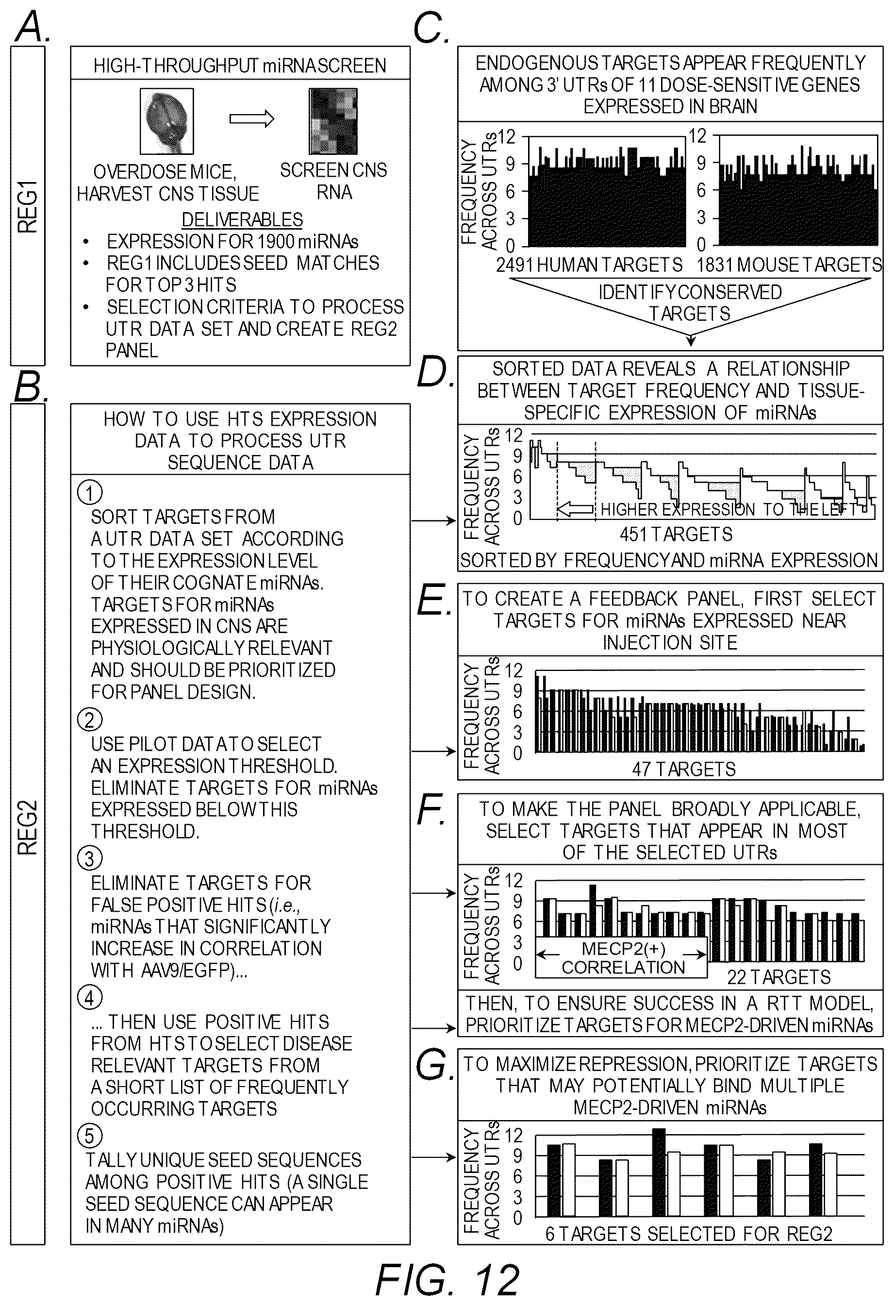 Patent US12311034 Figure 14 – Feedback enabled synthetic genes, target seed match cassettes, and their uses