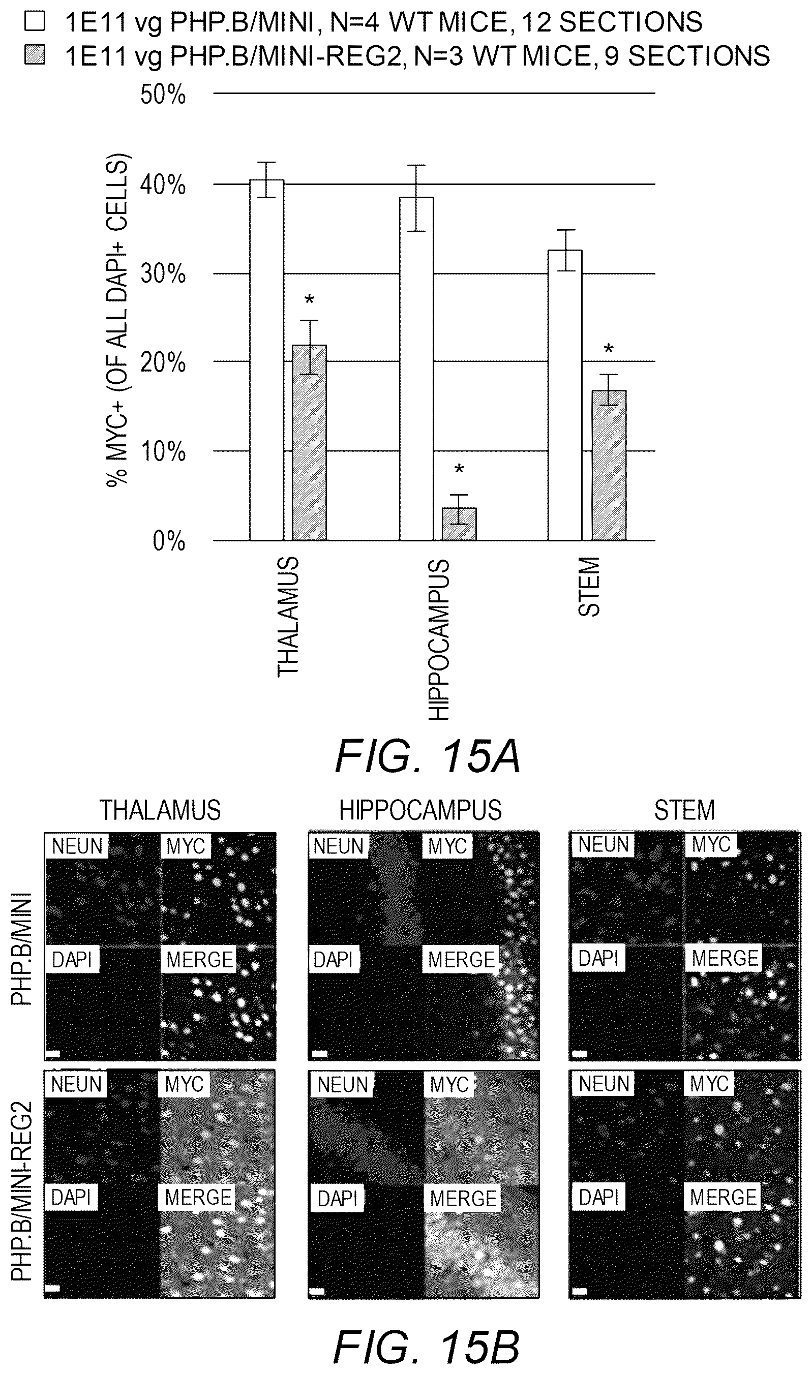 Patent US12311034 Figure 17 – Feedback enabled synthetic genes, target seed match cassettes, and their uses