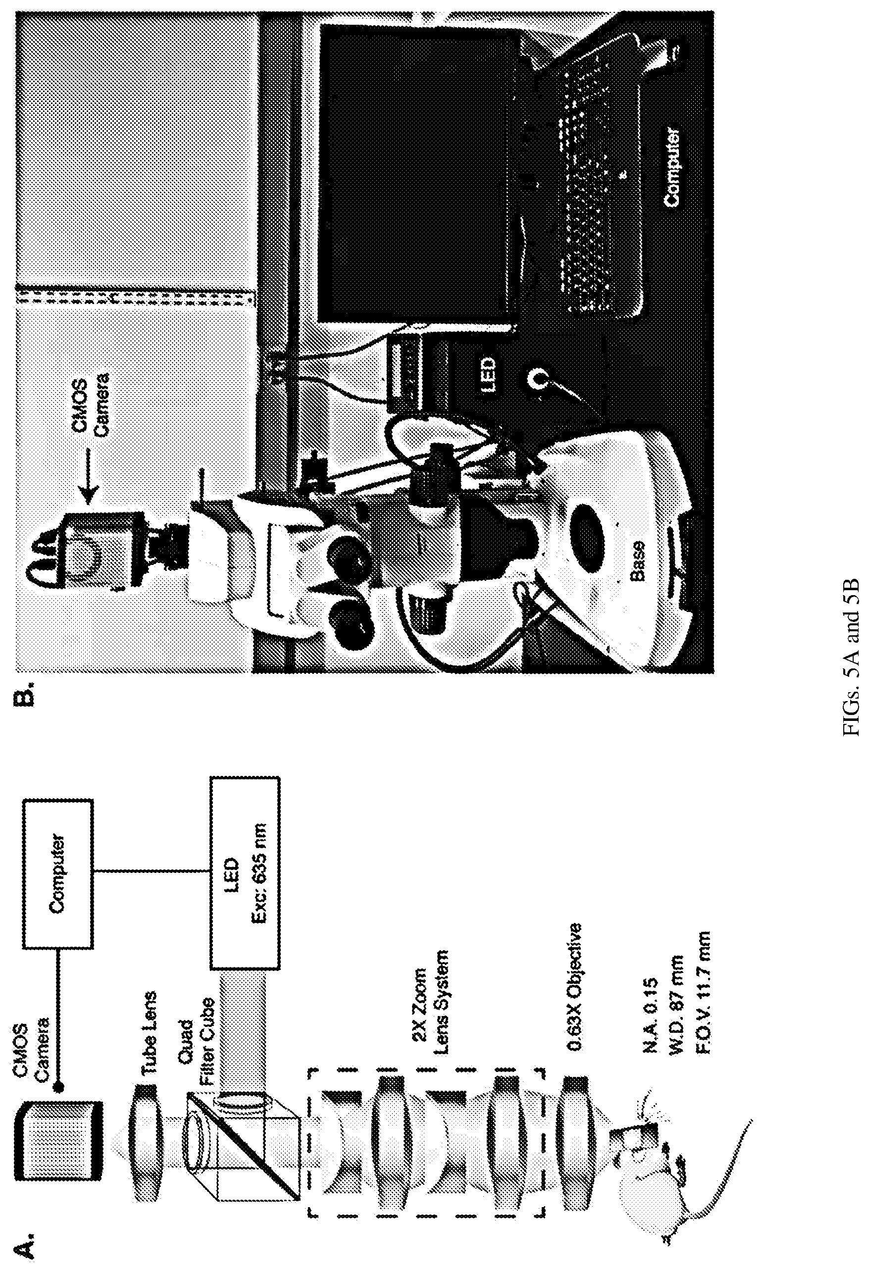 Patent US12311035 Figure 9 – Glymphatic delivery by manipulating plasma osmolarity