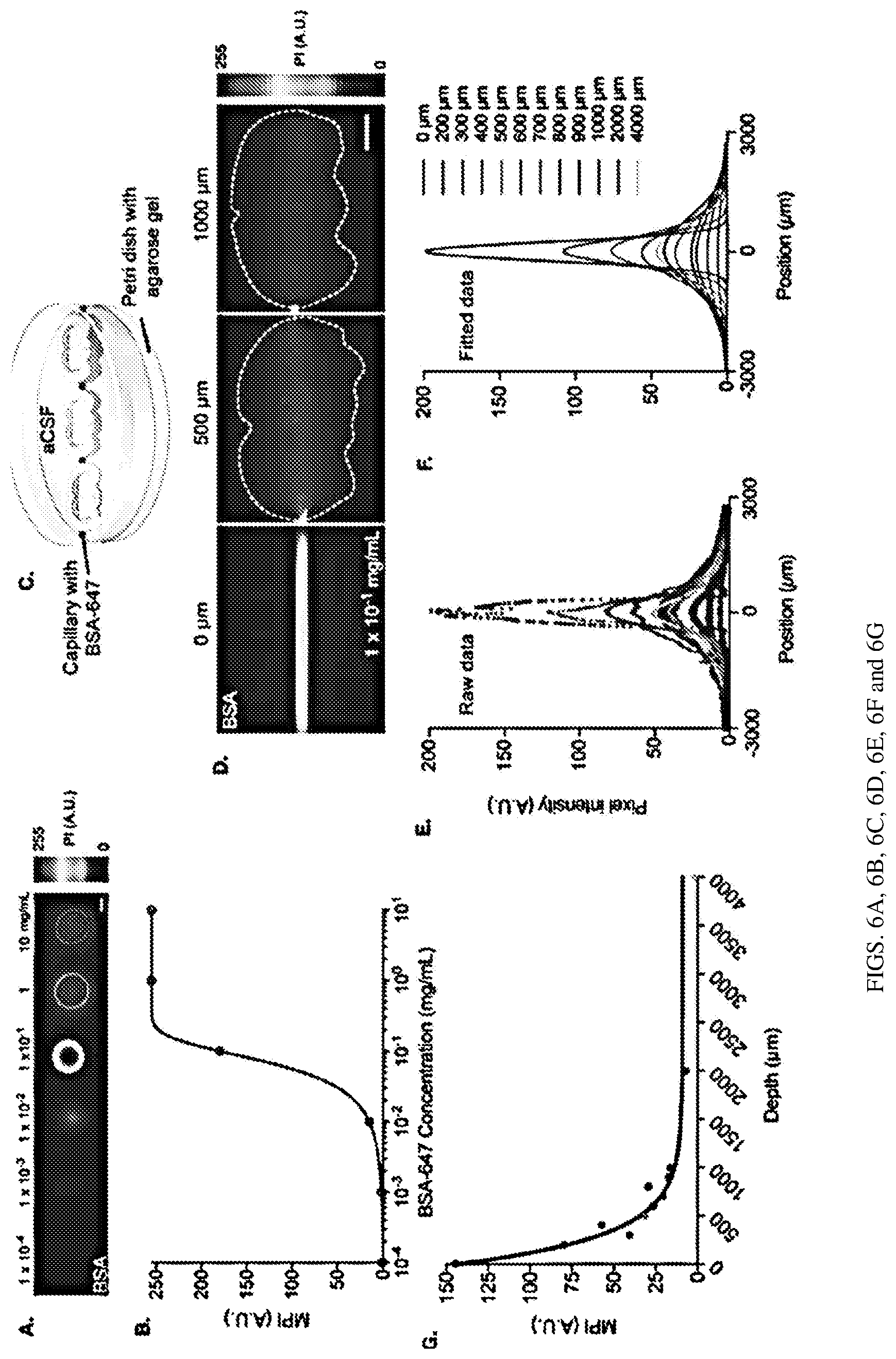Patent US12311035 Figure 10 – Glymphatic delivery by manipulating plasma osmolarity
