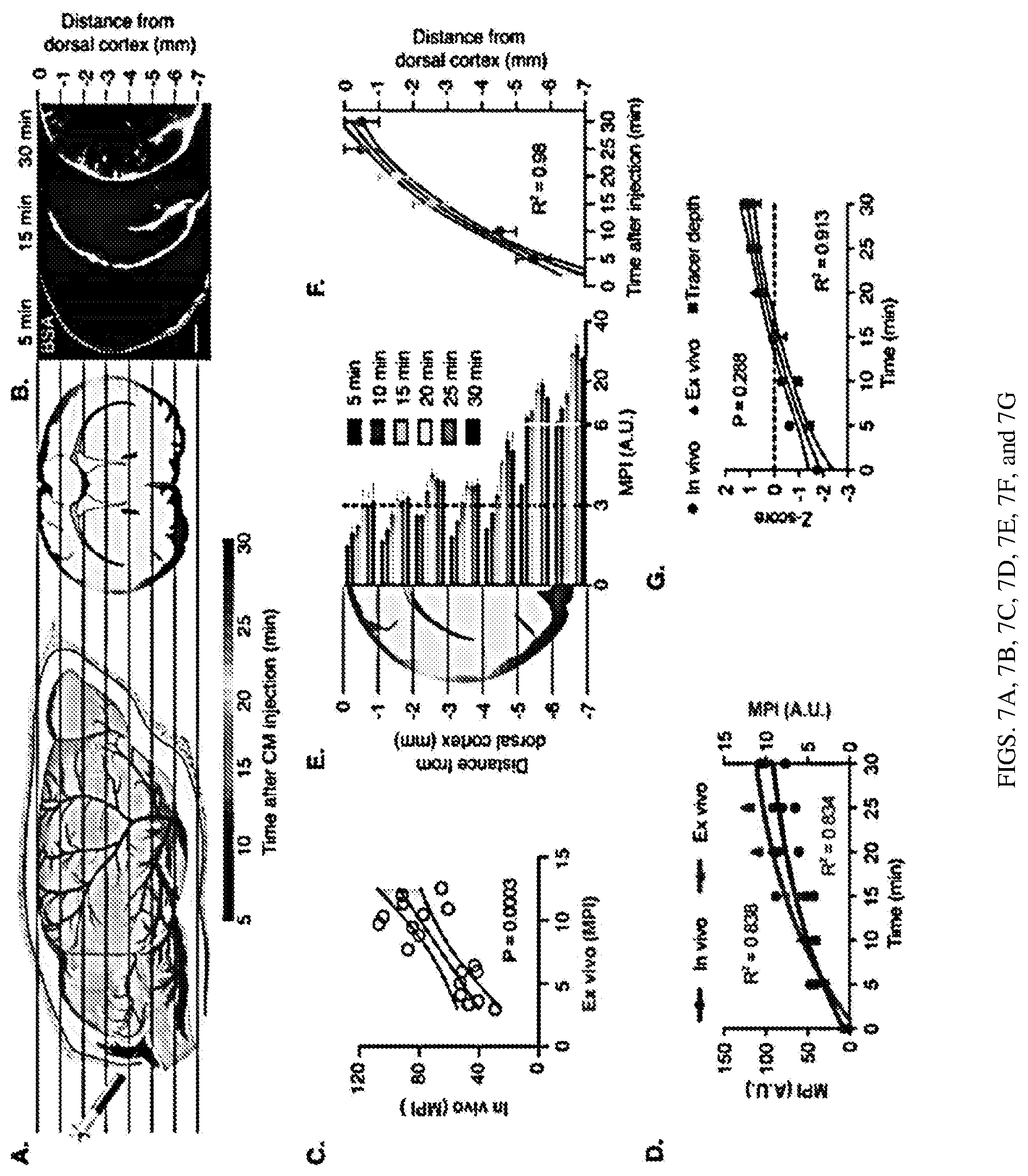 Patent US12311035 Figure 11 – Glymphatic delivery by manipulating plasma osmolarity