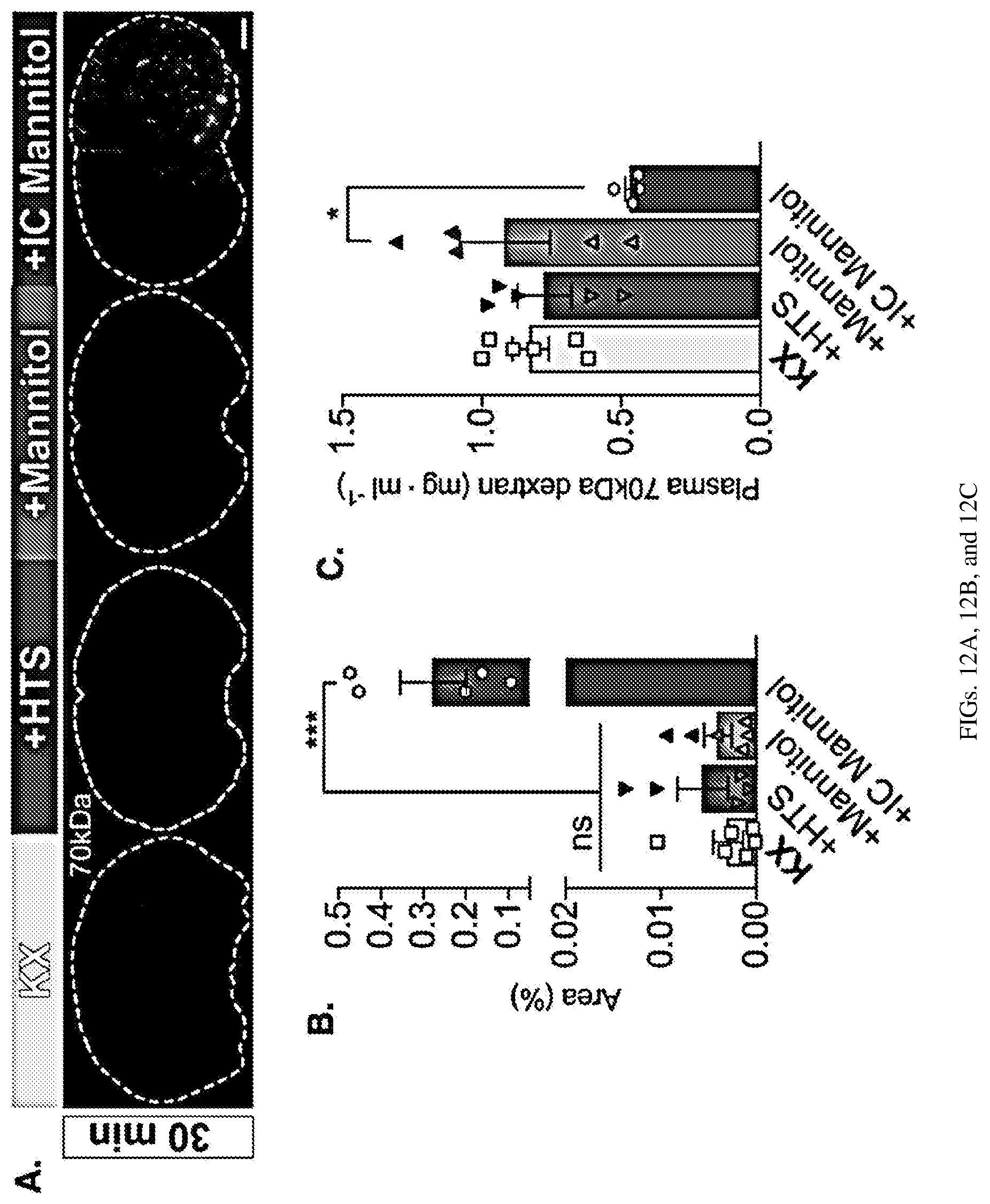 Patent US12311035 Figure 16 – Glymphatic delivery by manipulating plasma osmolarity