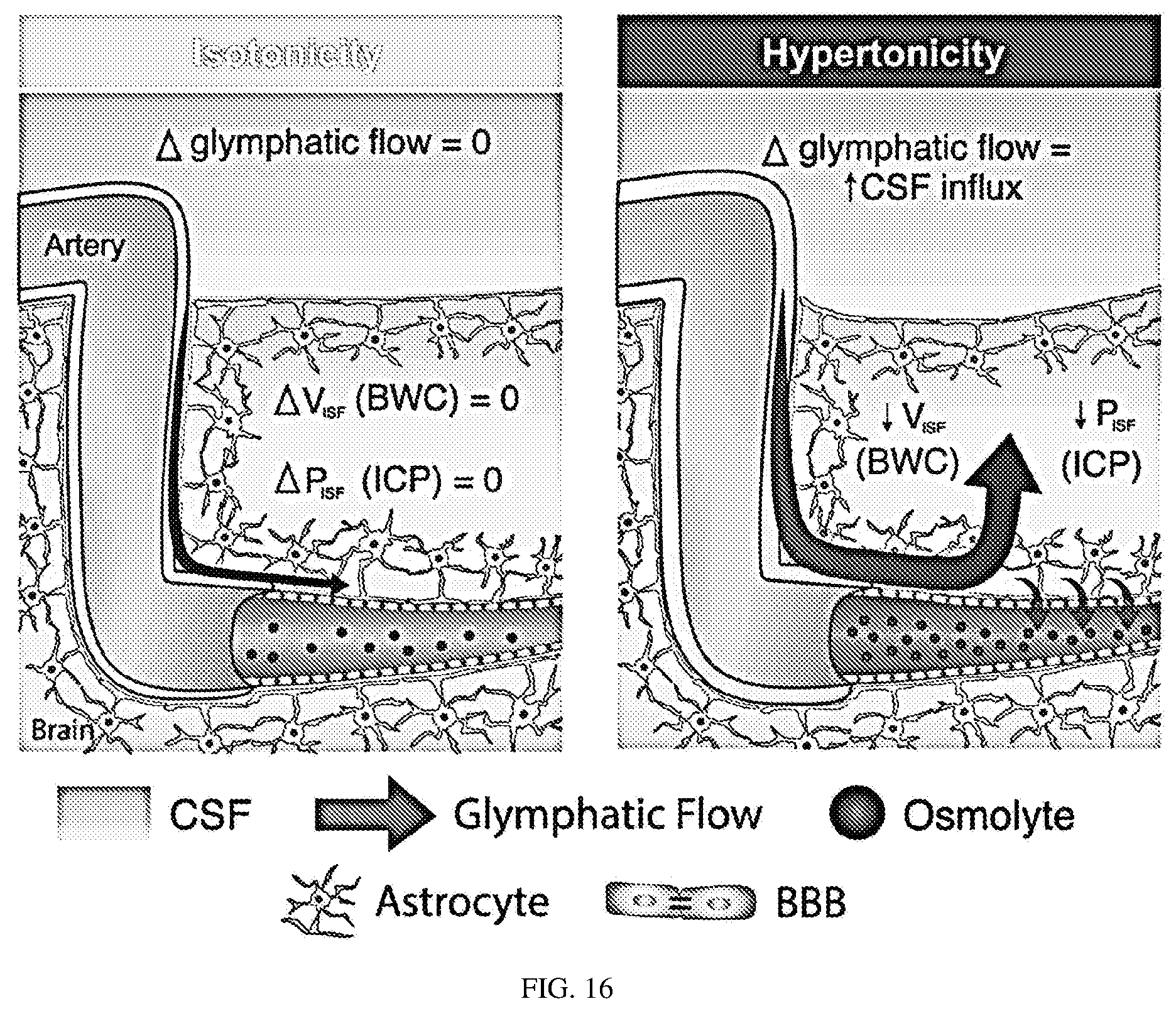 Patent US12311035 Figure 20 – Glymphatic delivery by manipulating plasma osmolarity