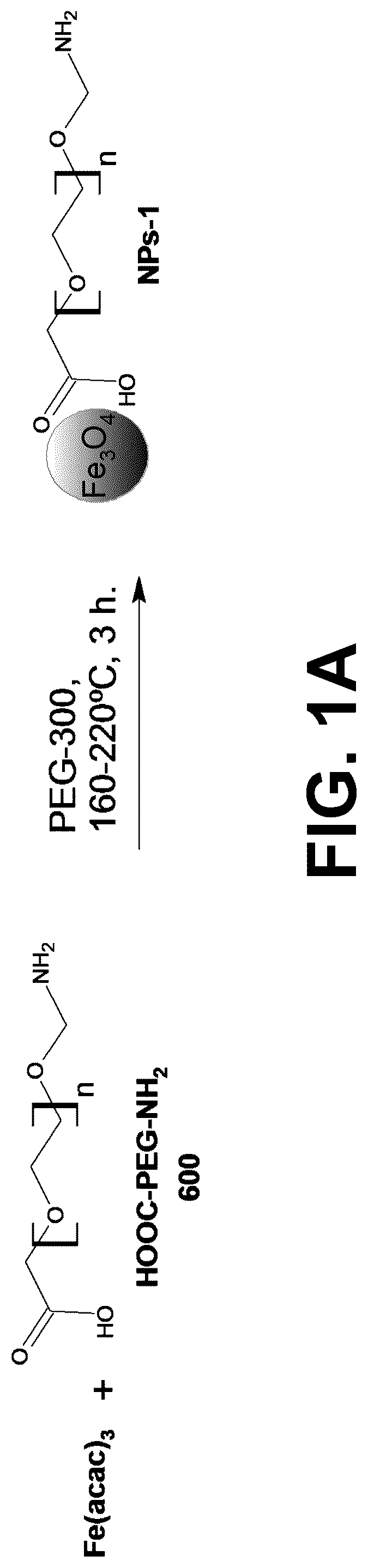 Patent US12311036 Figure 1 – Metal oxides nanoparticles conjugated with naphthalene derivatives as contrast agents for the detection of beta amyloid plaques by magnetic resonance images