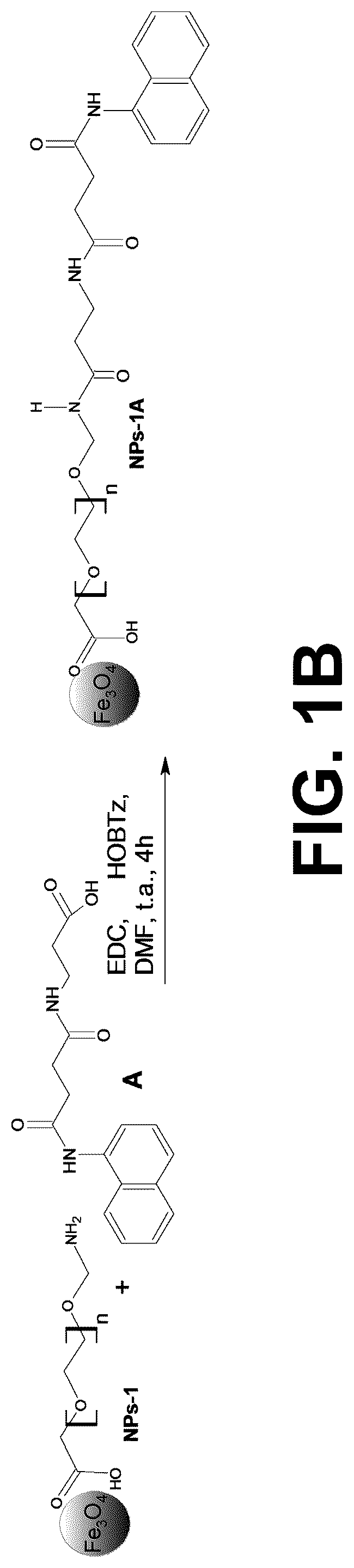 Patent US12311036 Figure 2 – Metal oxides nanoparticles conjugated with naphthalene derivatives as contrast agents for the detection of beta amyloid plaques by magnetic resonance images