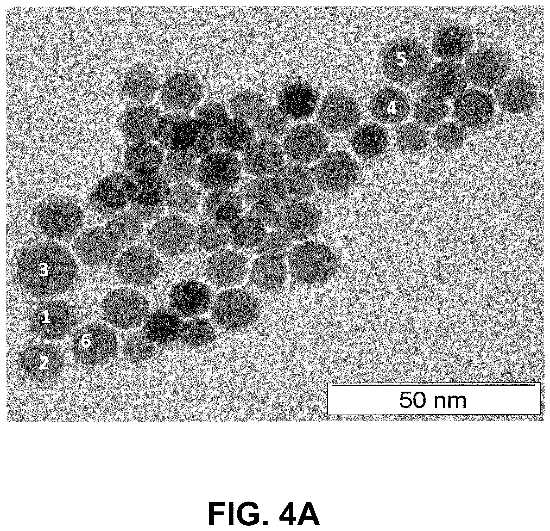 Patent US12311036 Figure 5 – Metal oxides nanoparticles conjugated with naphthalene derivatives as contrast agents for the detection of beta amyloid plaques by magnetic resonance images