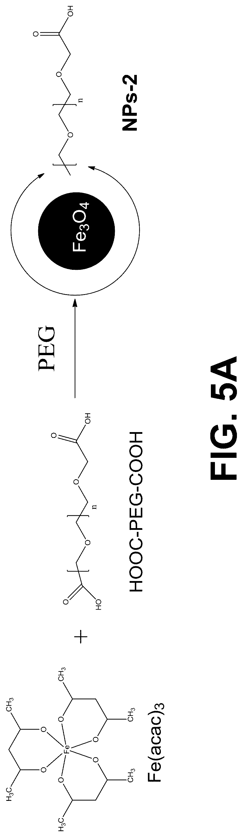 Patent US12311036 Figure 7 – Metal oxides nanoparticles conjugated with naphthalene derivatives as contrast agents for the detection of beta amyloid plaques by magnetic resonance images