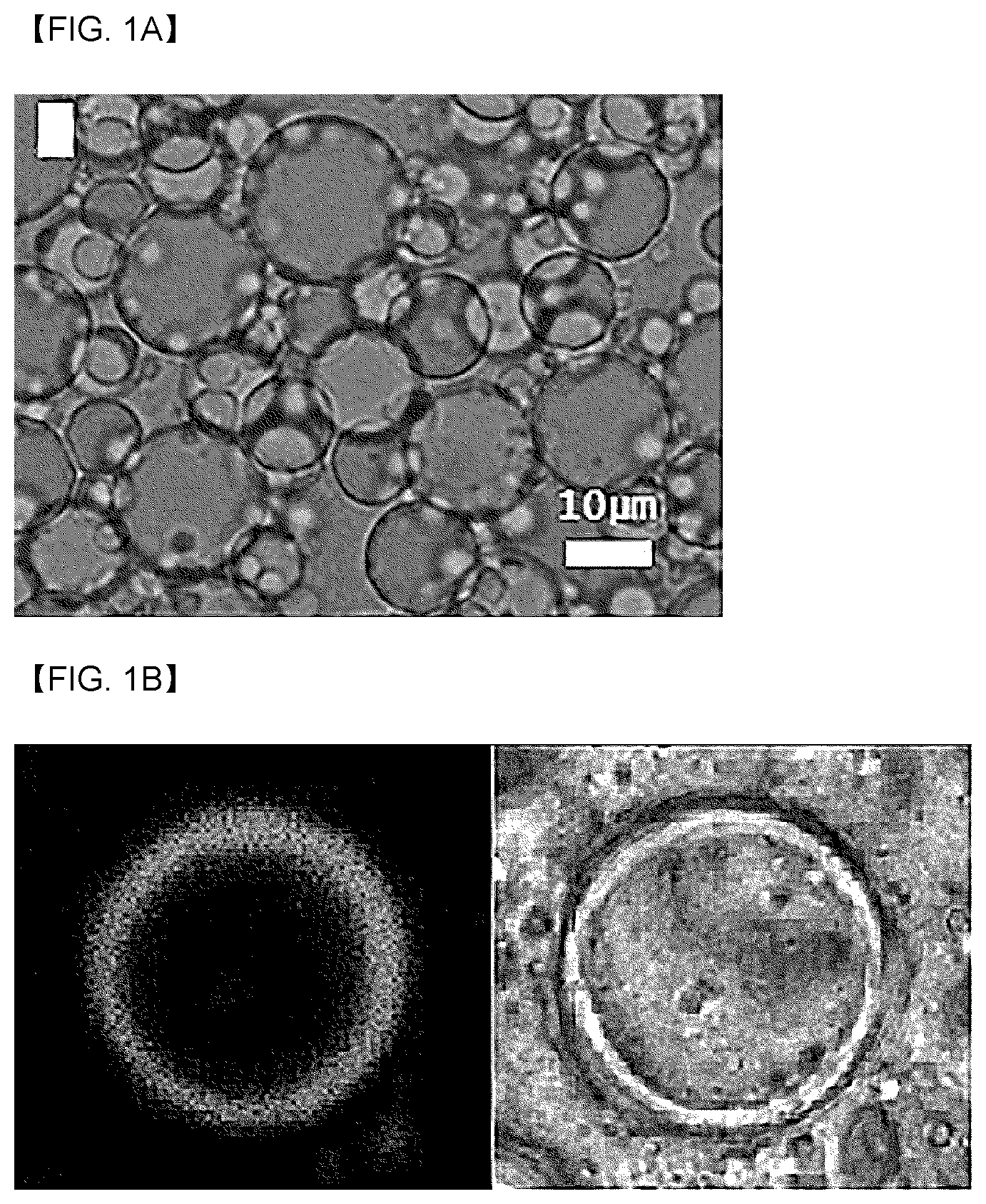 Patent US12311041 Figure 1 – Nanocapsules forming emulsion particles and emulsion composition including same