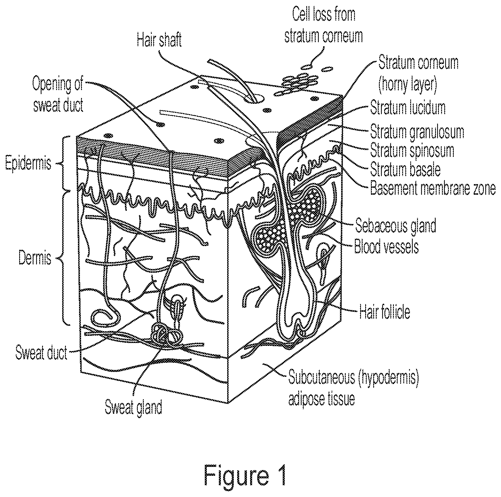 Patent US12311048 Figure 1 – Crosslinked materials