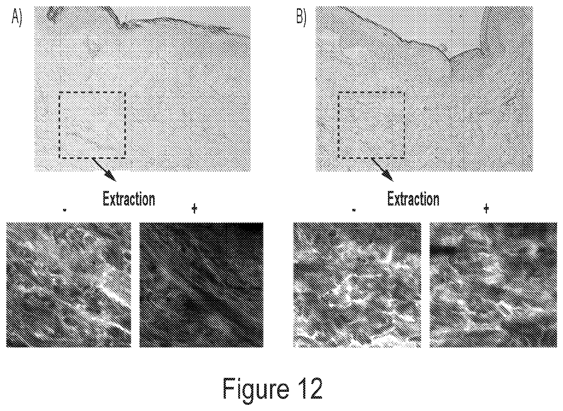 Patent US12311048 Figure 12 – Crosslinked materials