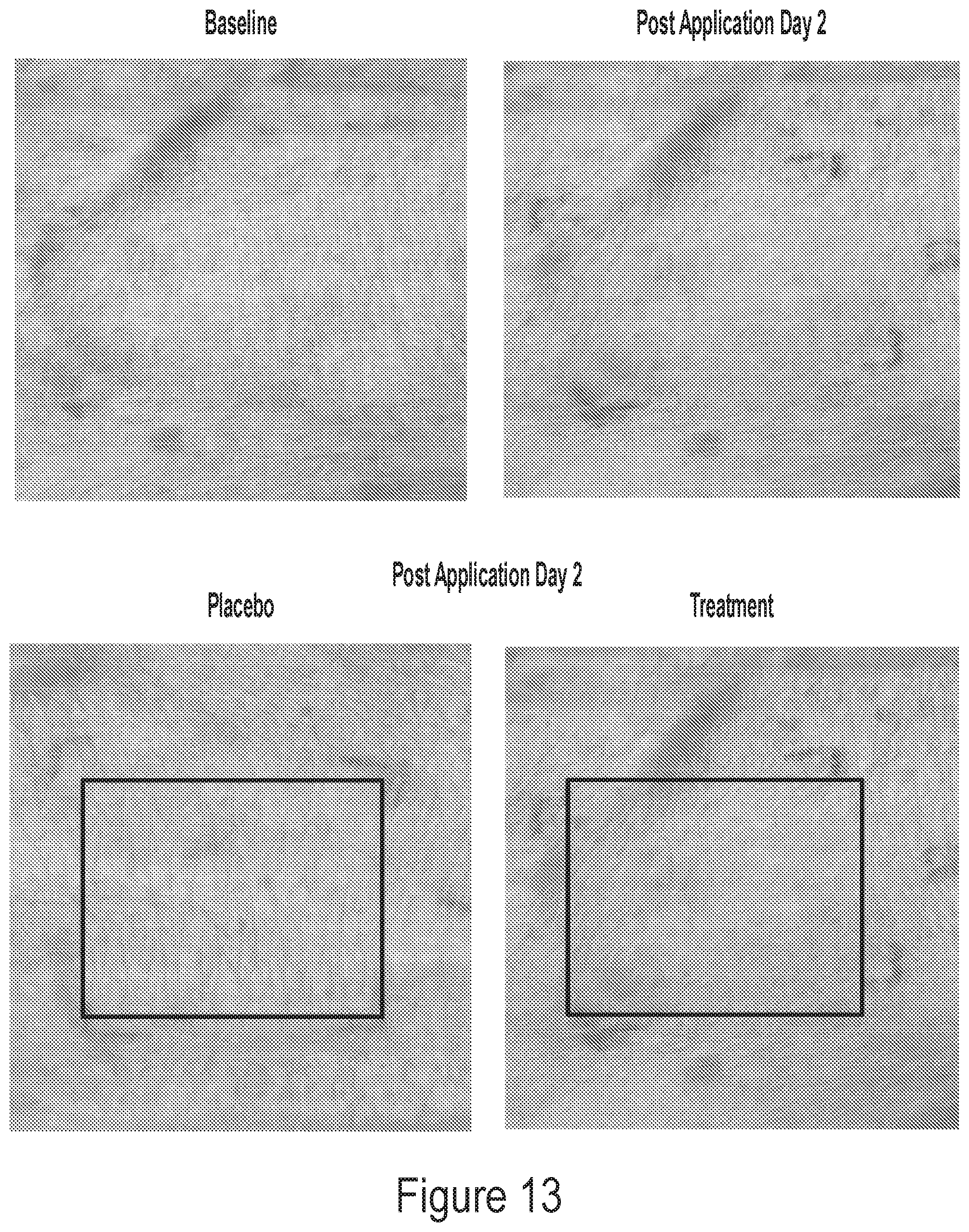Patent US12311048 Figure 13 – Crosslinked materials