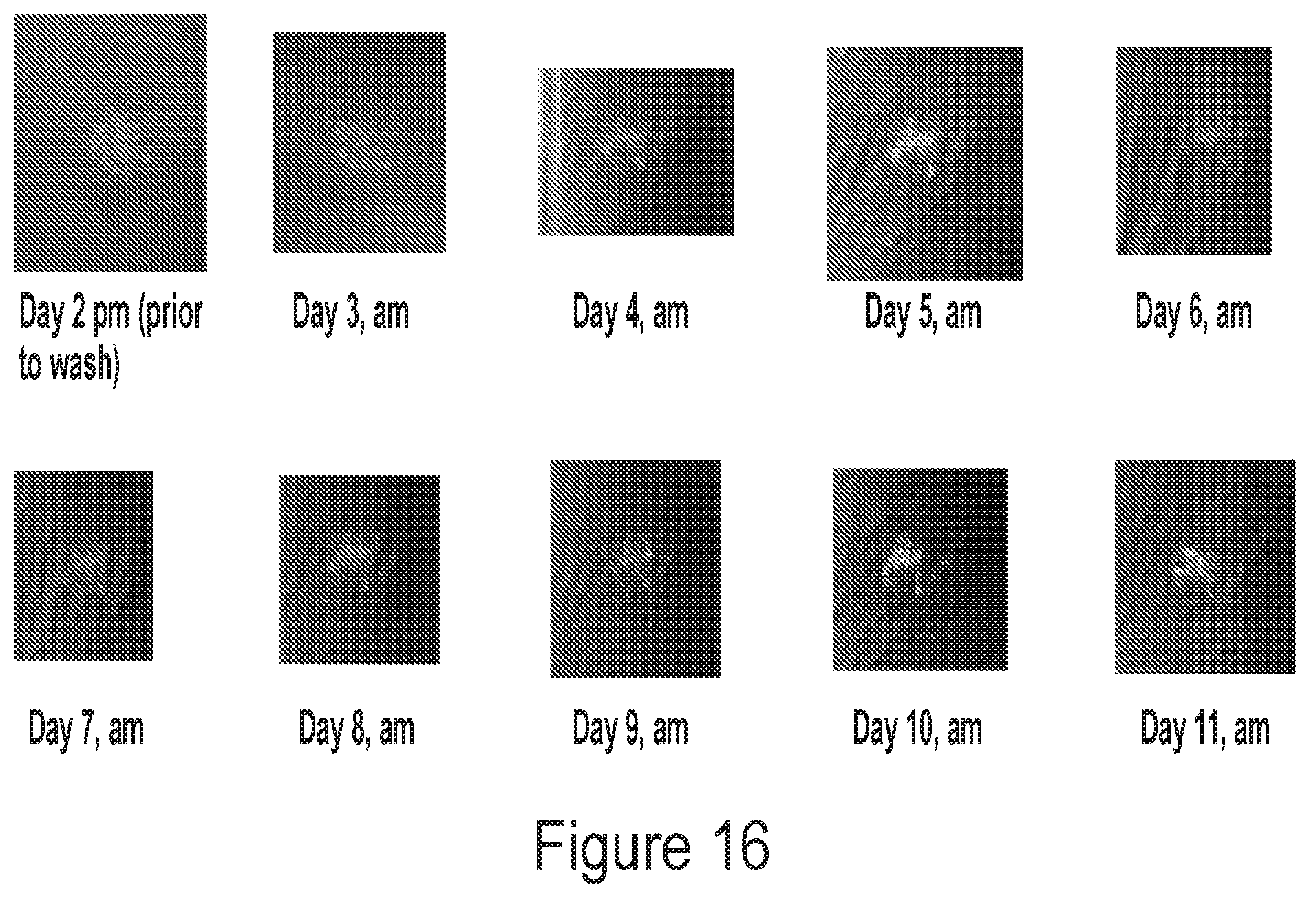 Patent US12311048 Figure 16 – Crosslinked materials