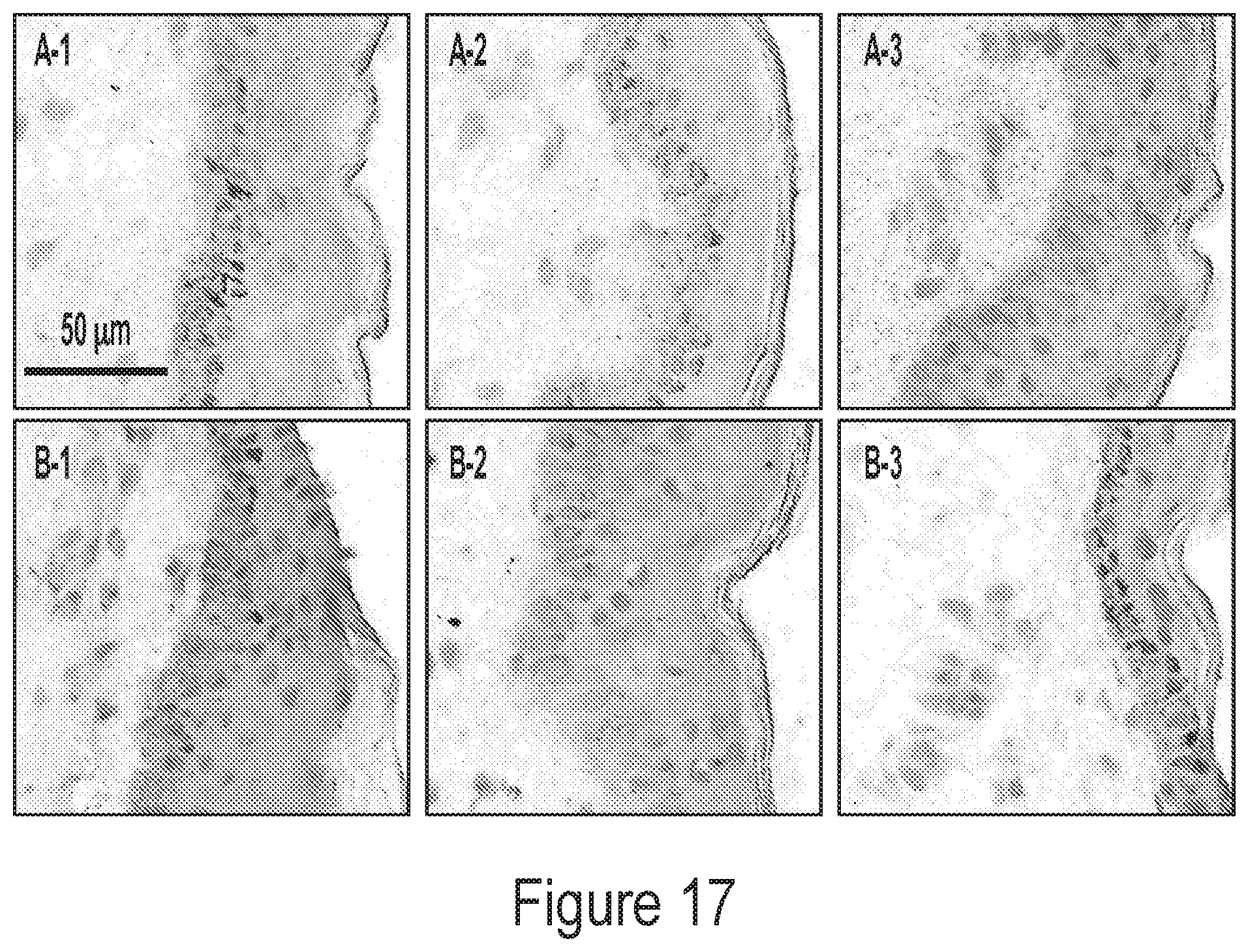 Patent US12311048 Figure 17 – Crosslinked materials