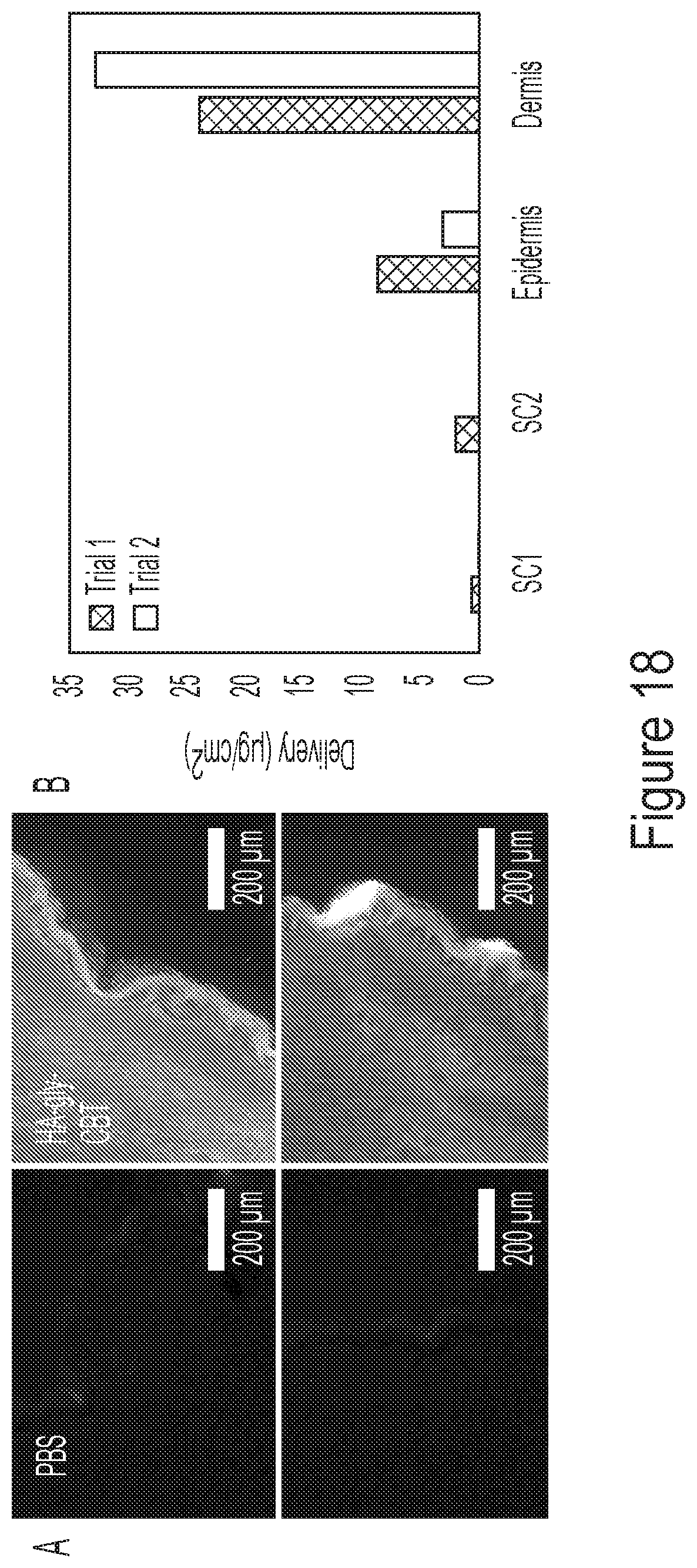 Patent US12311048 Figure 18 – Crosslinked materials