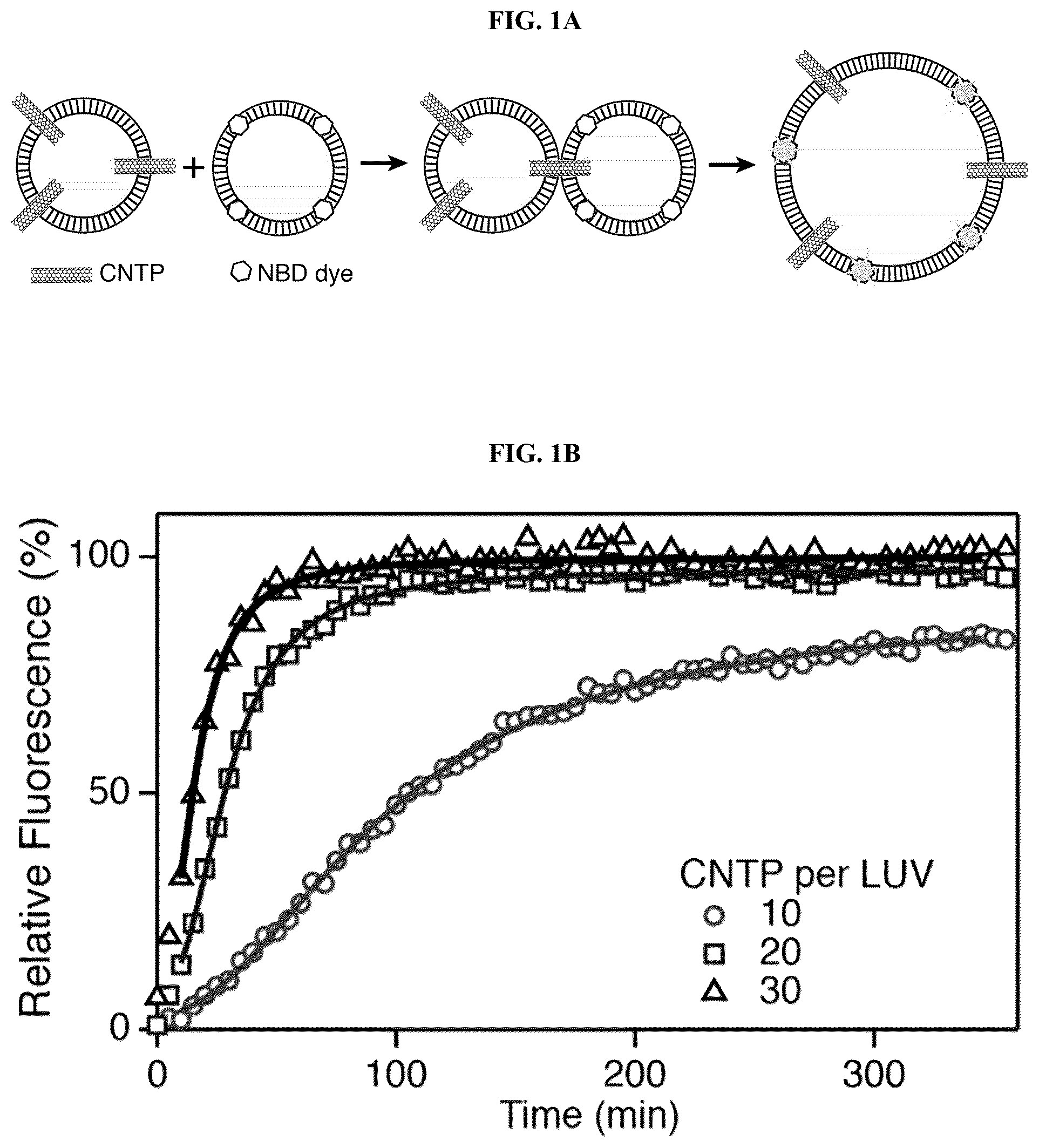 Patent US12311053 Figure 1 – Nanotube-vesicle compositions and uses thereof