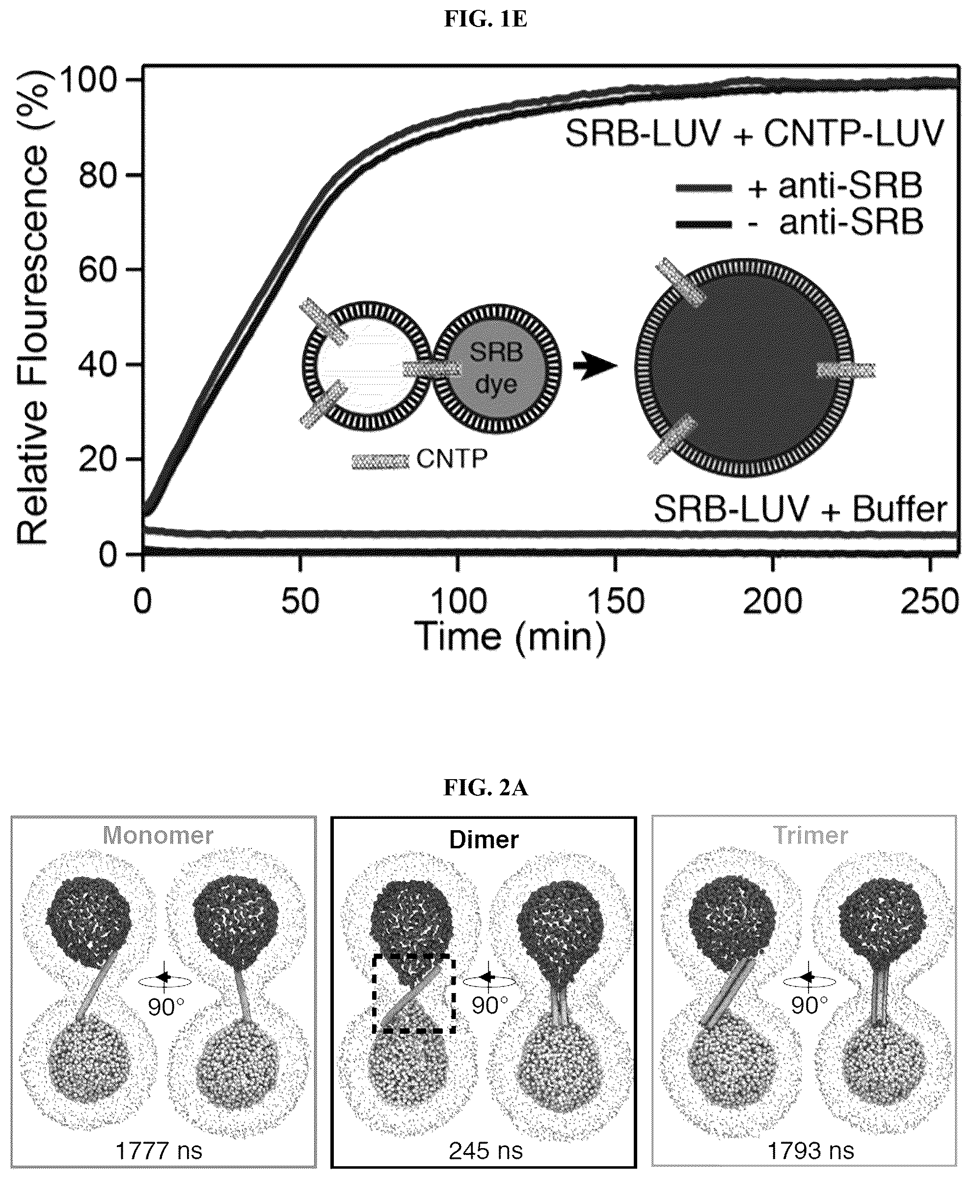 Patent US12311053 Figure 3 – Nanotube-vesicle compositions and uses thereof