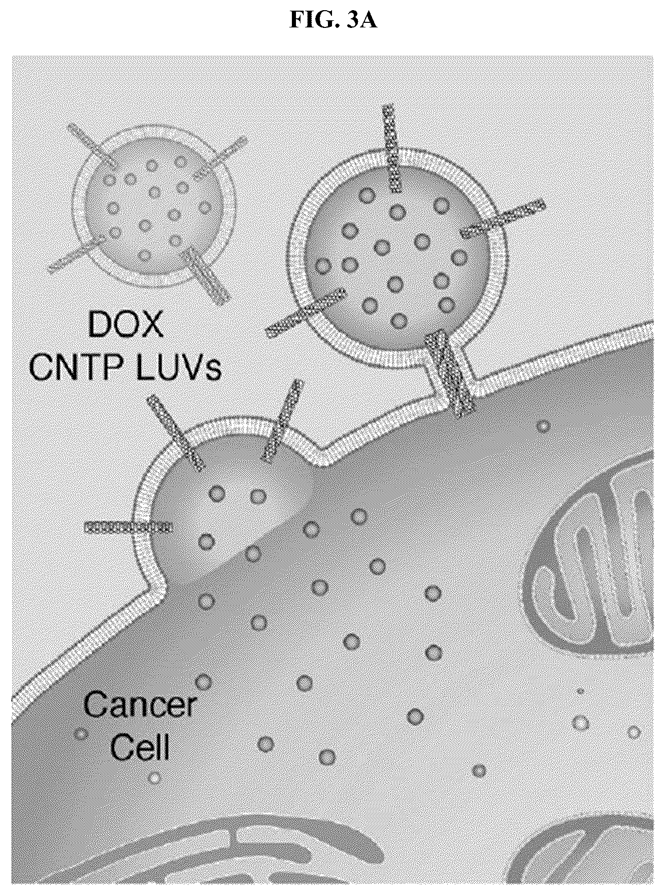 Patent US12311053 Figure 5 – Nanotube-vesicle compositions and uses thereof