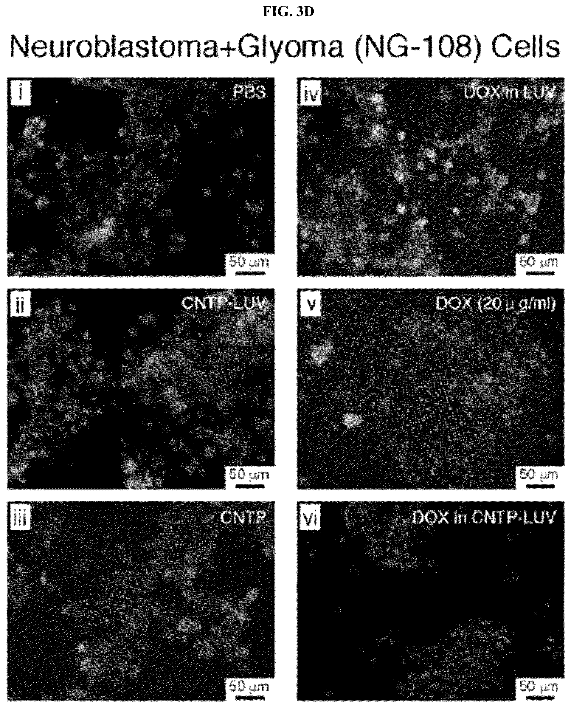 Patent US12311053 Figure 7 – Nanotube-vesicle compositions and uses thereof