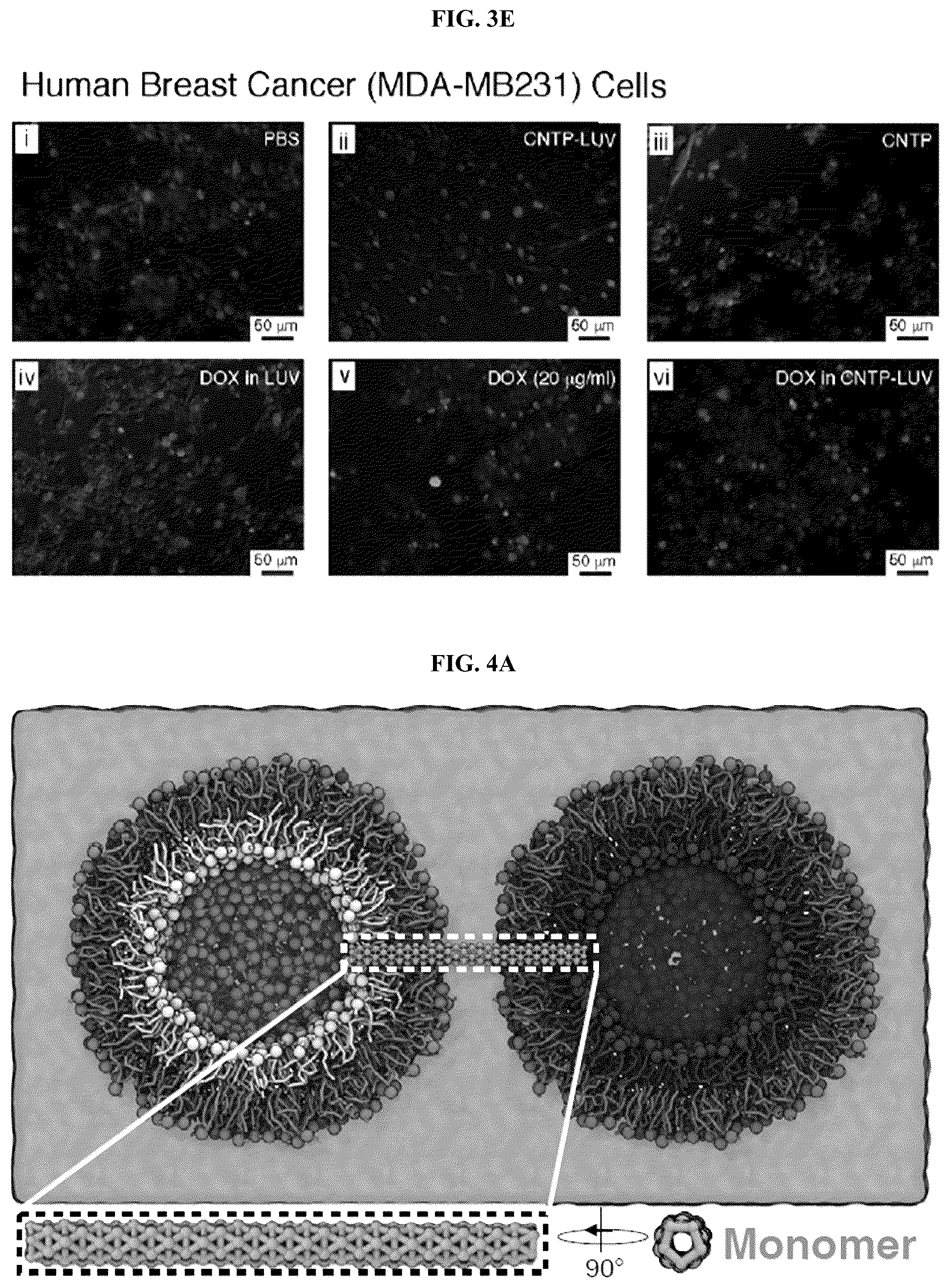 Patent US12311053 Figure 8 – Nanotube-vesicle compositions and uses thereof