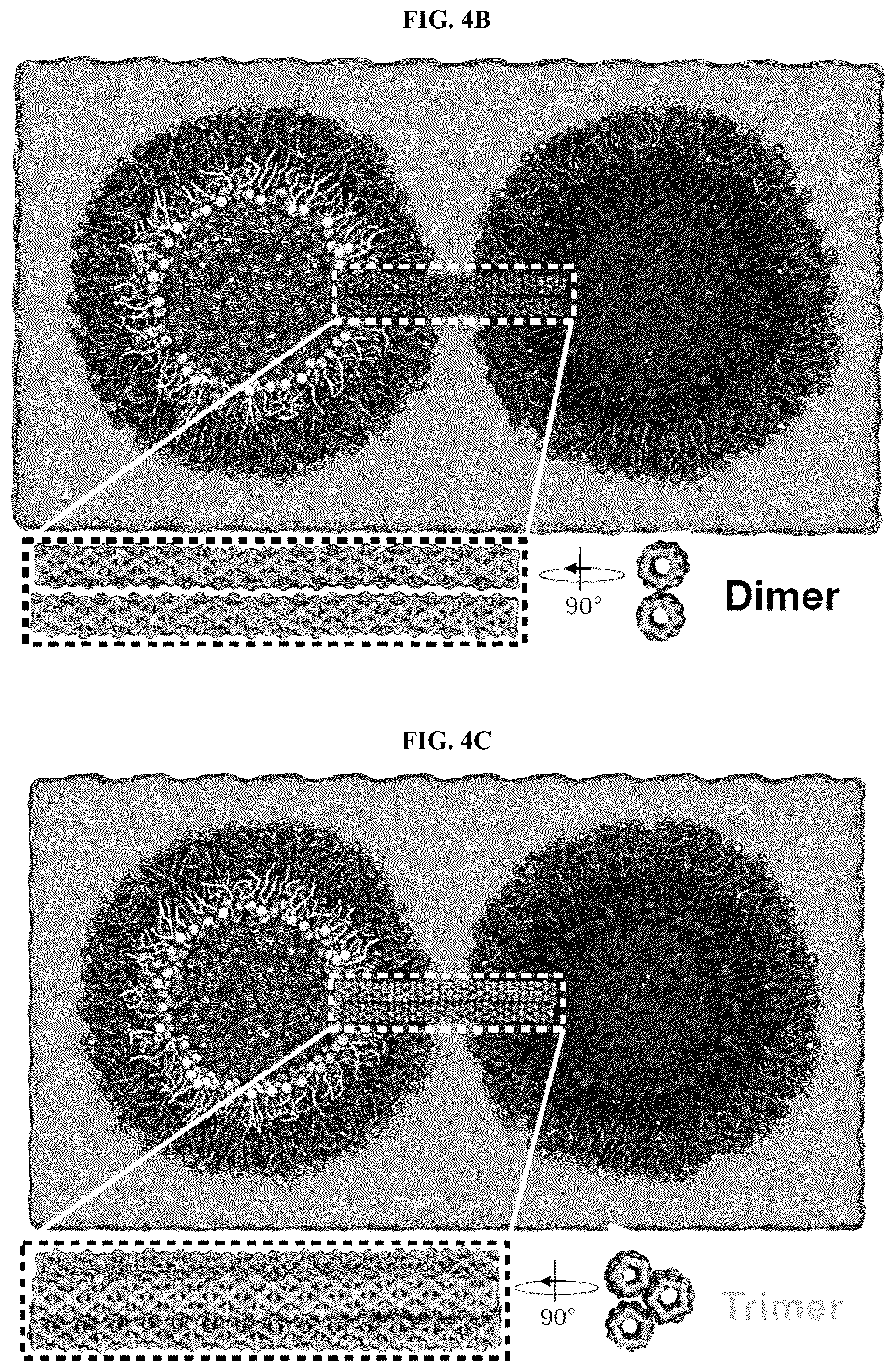 Patent US12311053 Figure 9 – Nanotube-vesicle compositions and uses thereof