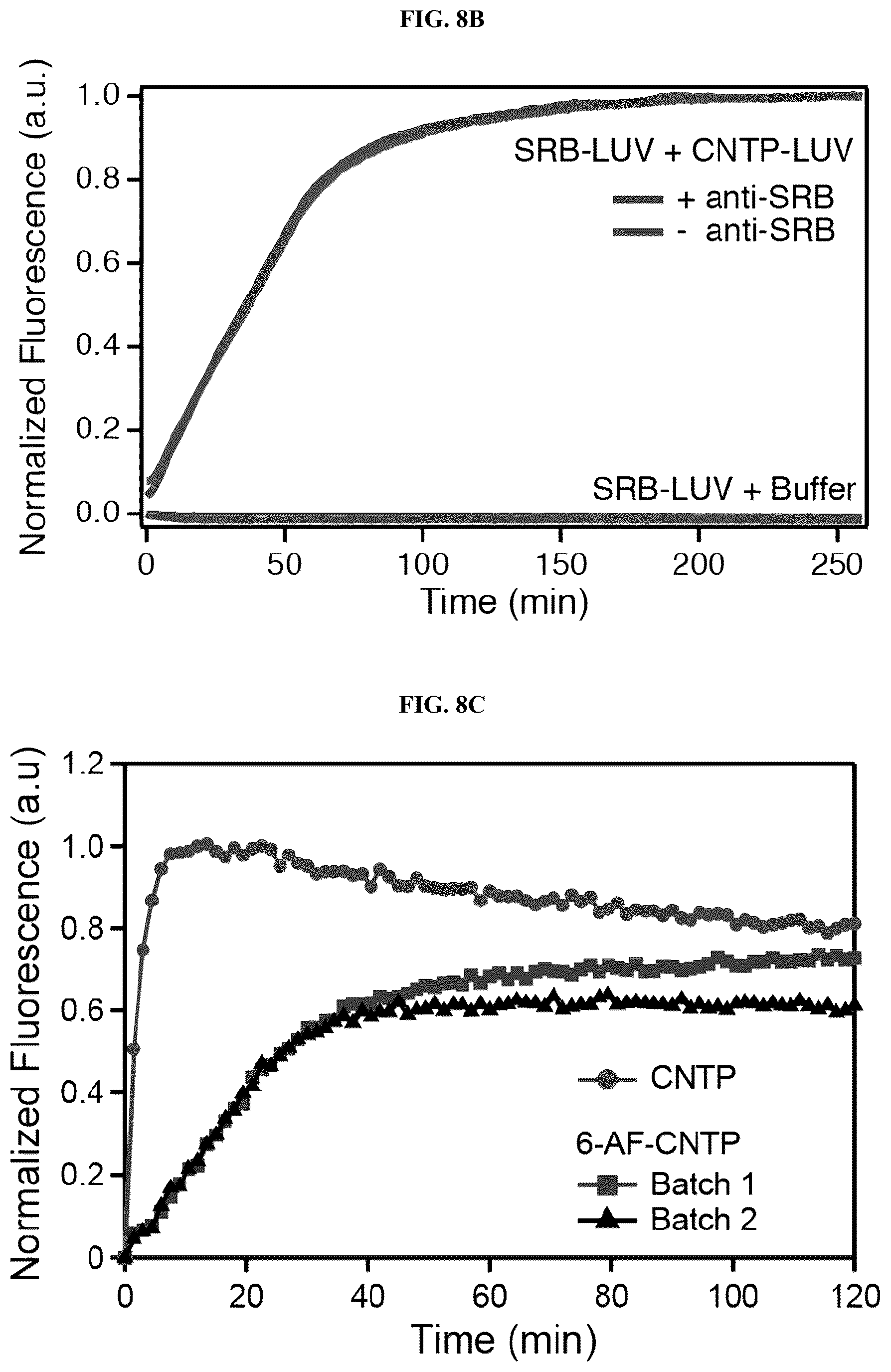 Patent US12311053 Figure 13 – Nanotube-vesicle compositions and uses thereof
