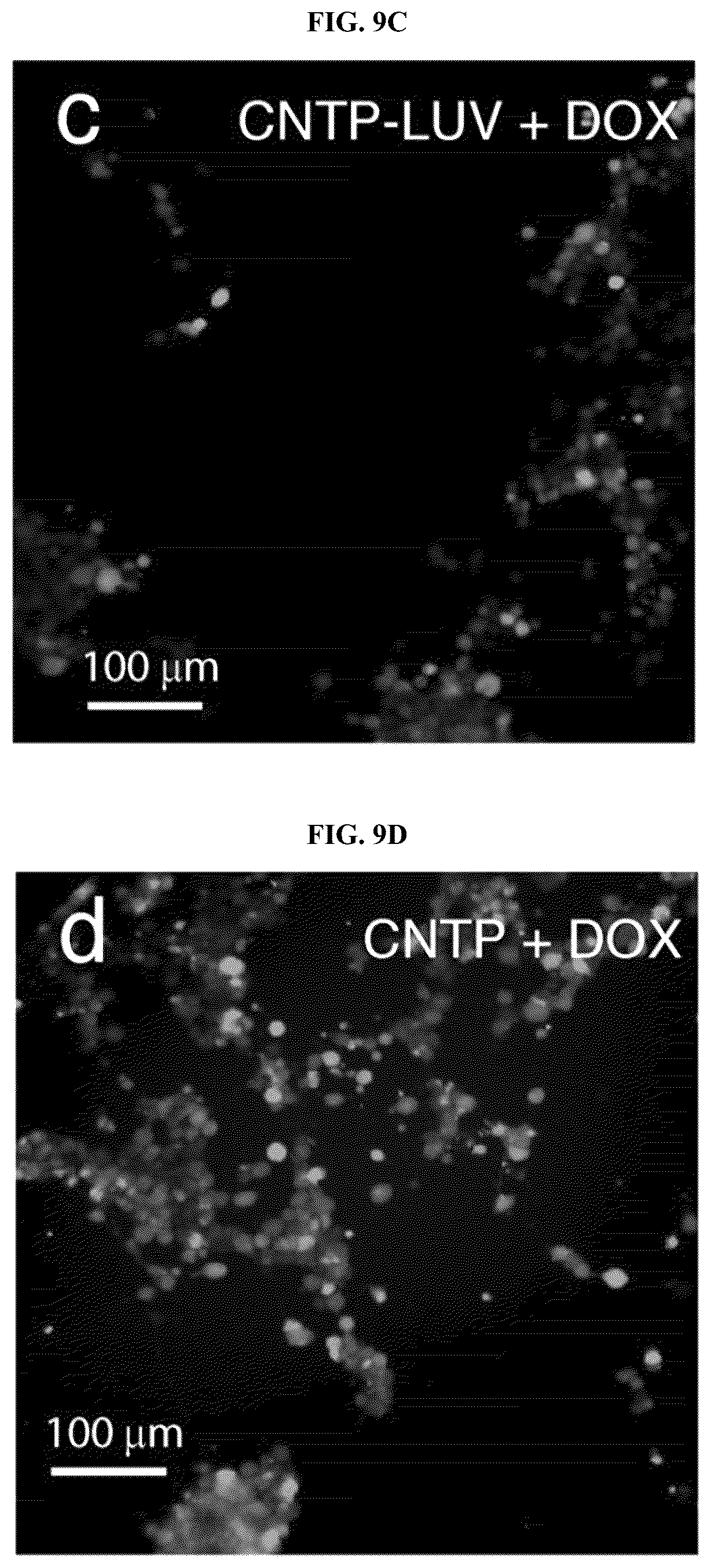 Patent US12311053 Figure 16 – Nanotube-vesicle compositions and uses thereof
