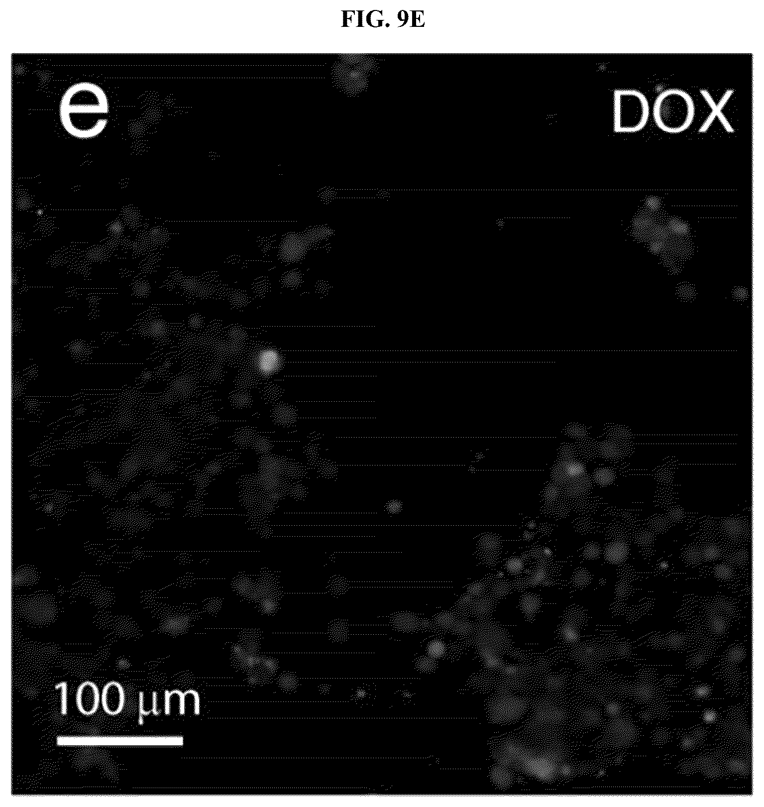 Patent US12311053 Figure 17 – Nanotube-vesicle compositions and uses thereof
