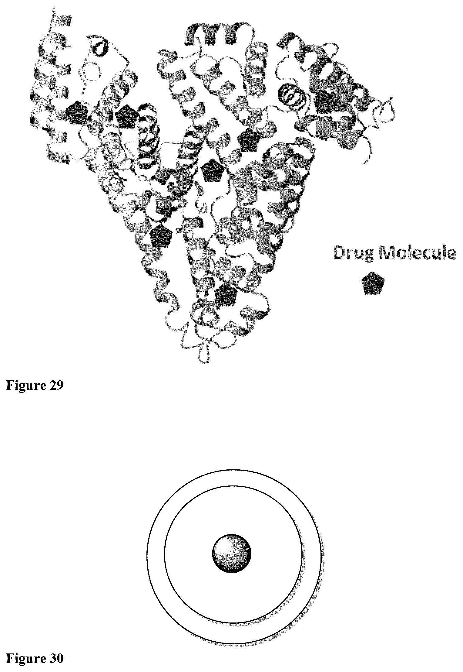 Patent US12311058 Figure 19 – Single protein-encapsulated pharmaceutics for enhancing therapeutic effects