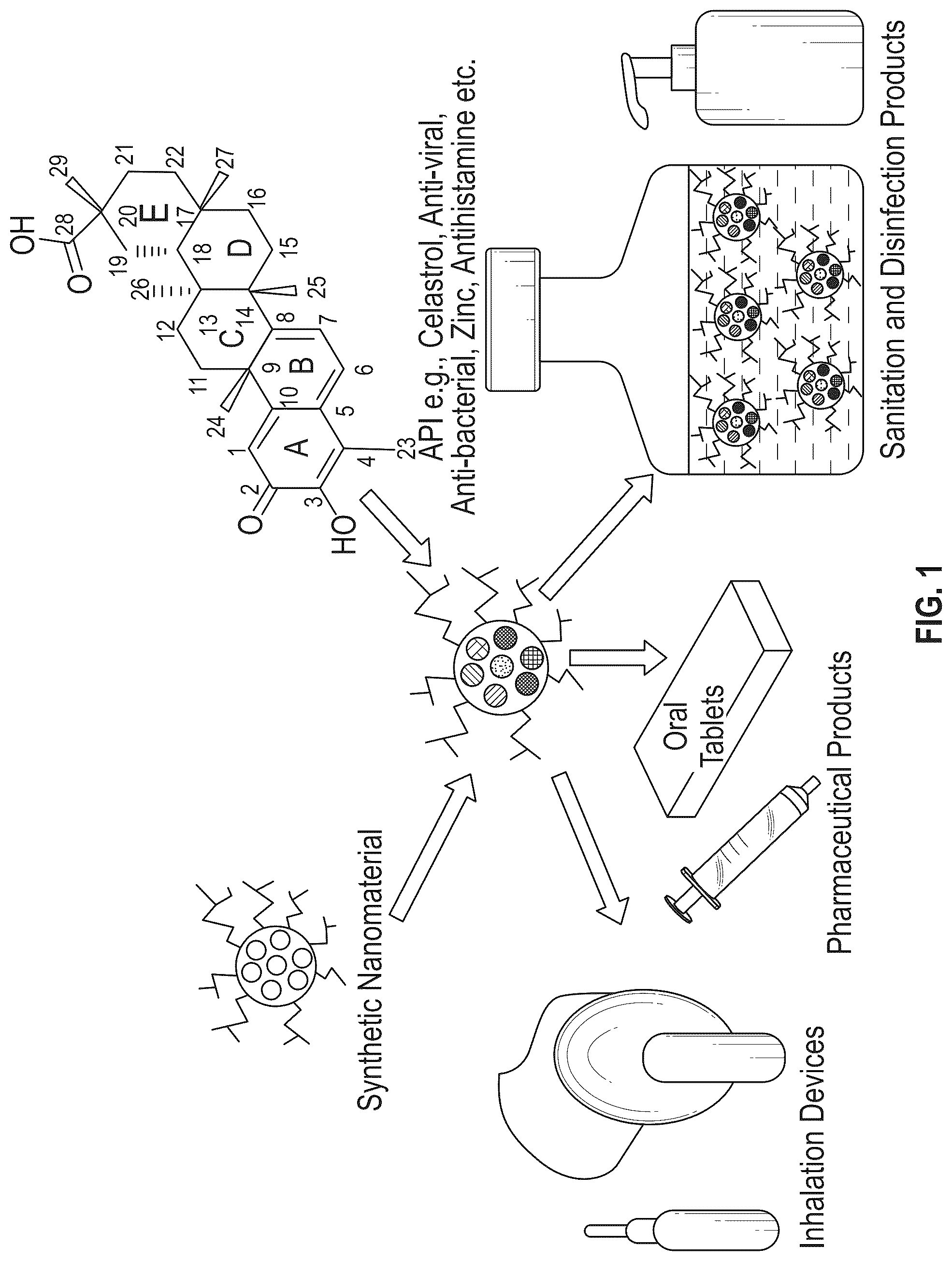 Patent US12311061 — Methods of fabricating carriers for targeted delivery to a host — Figure 1