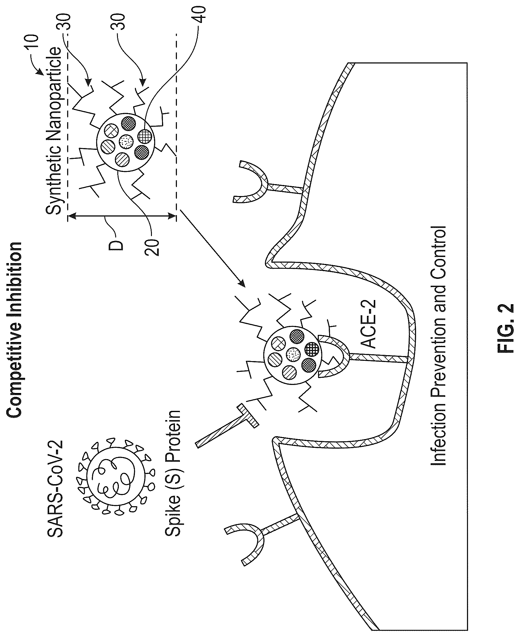 Patent US12311061 Figure 2 – Methods of fabricating carriers for targeted delivery to a host