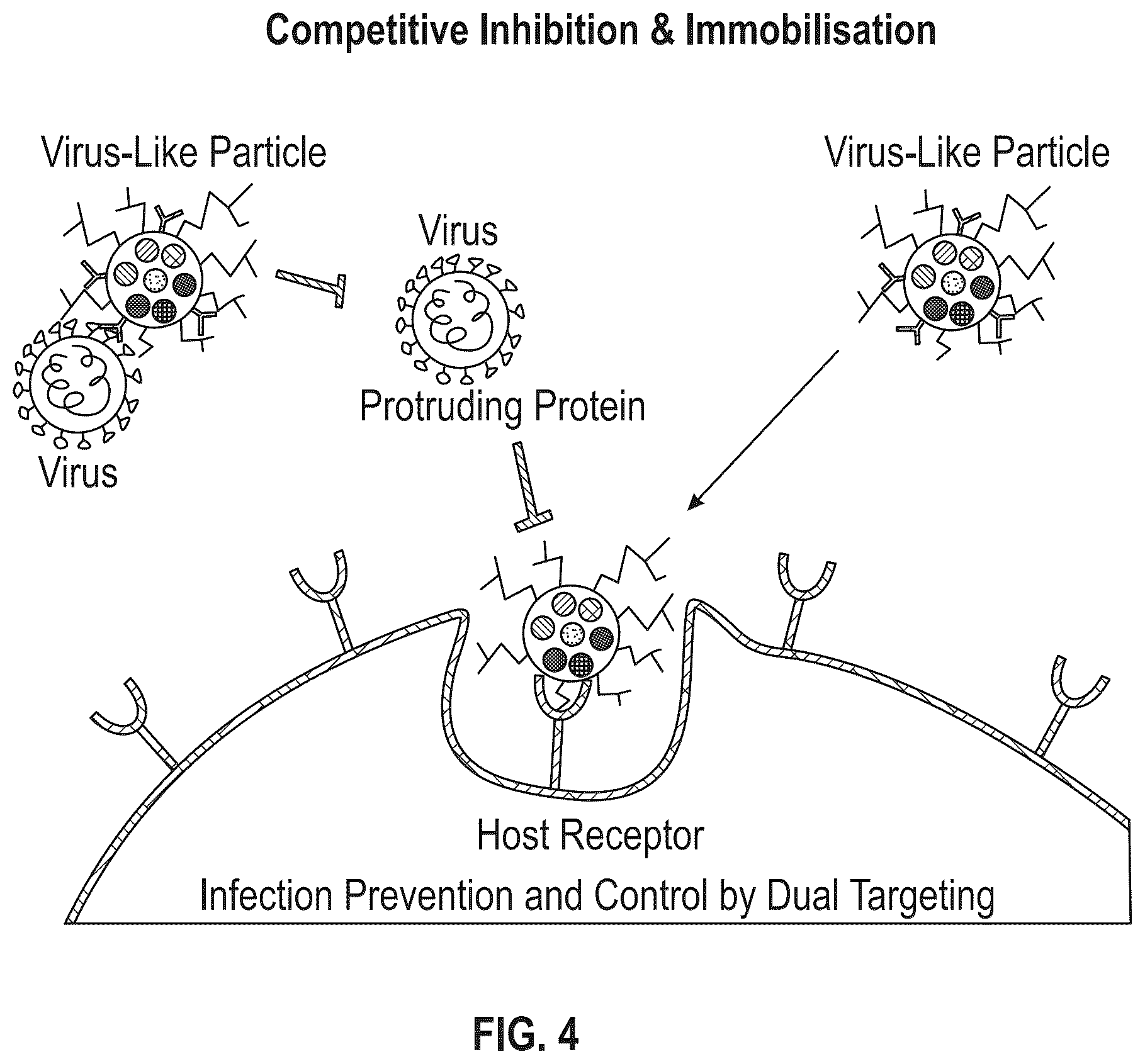 Patent US12311061 Figure 4 – Methods of fabricating carriers for targeted delivery to a host