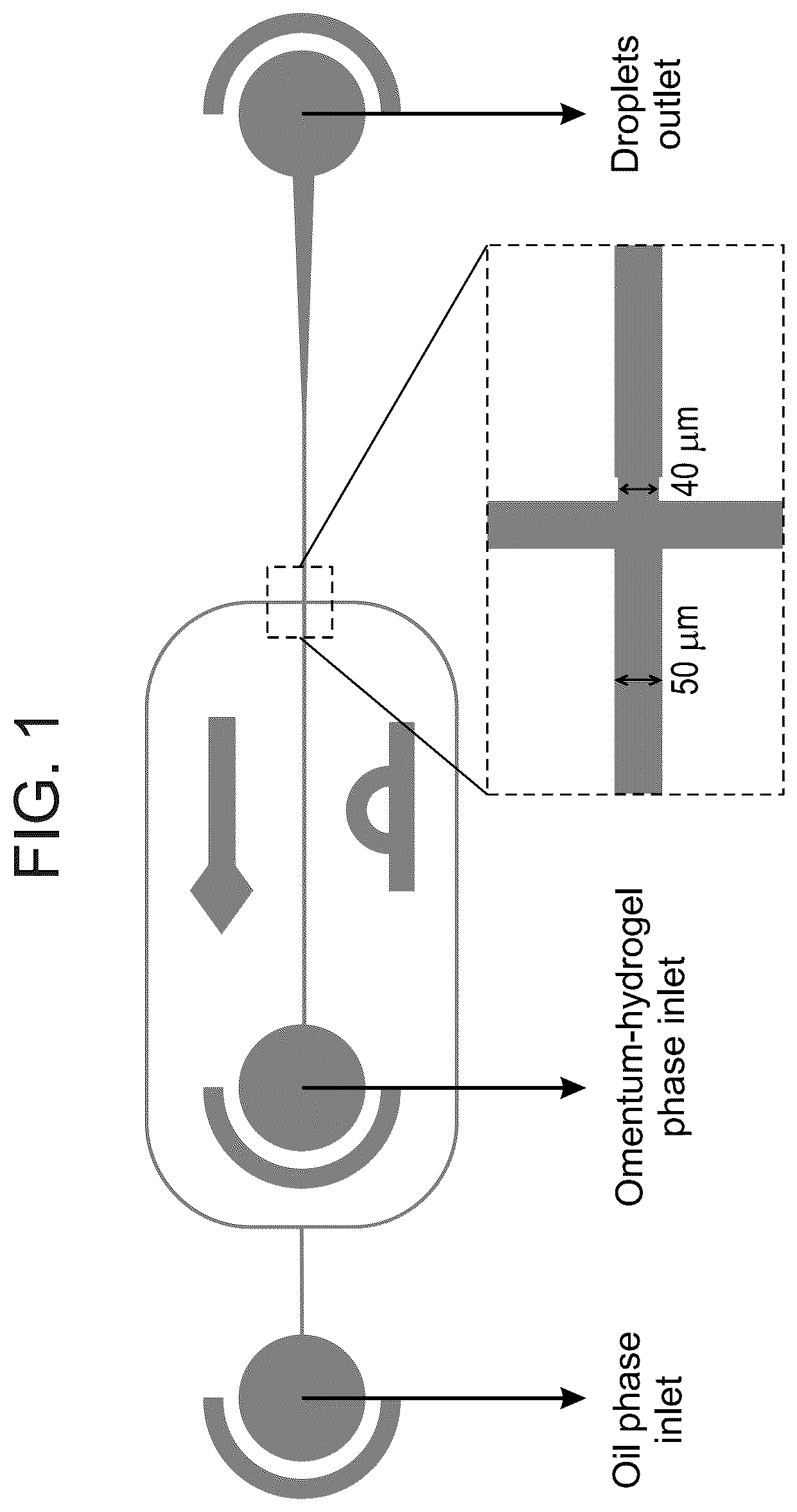 Patent US12311075 Figure 1 – Particles comprising decellularized omentum