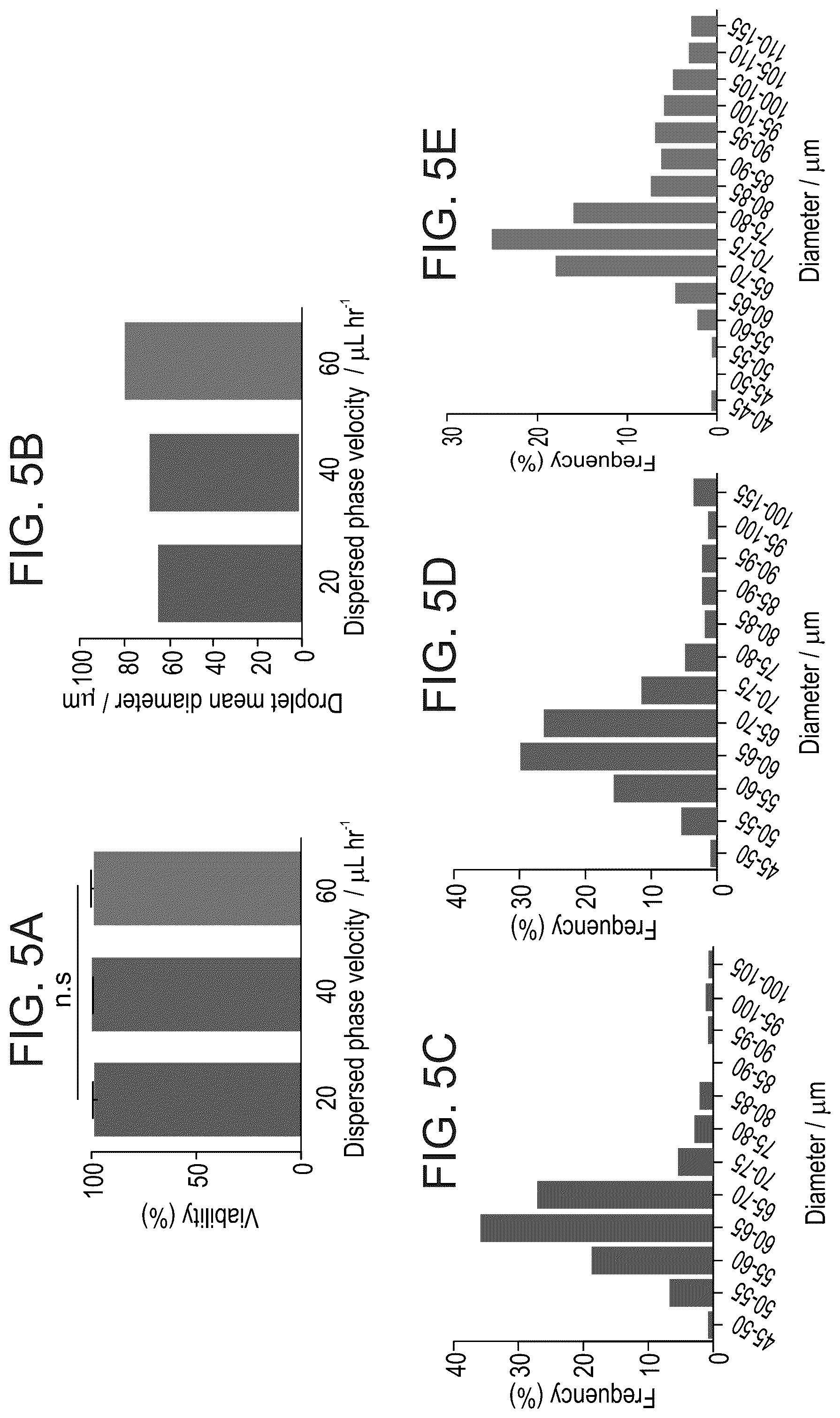 Patent US12311075 Figure 5 – Particles comprising decellularized omentum