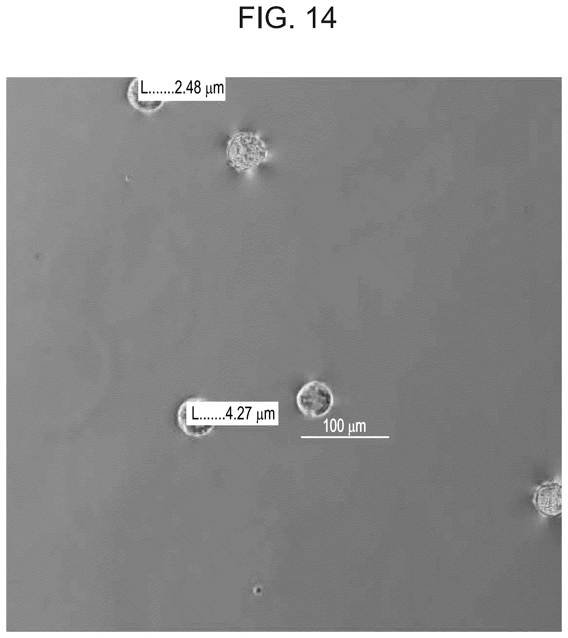 Patent US12311075 Figure 14 – Particles comprising decellularized omentum