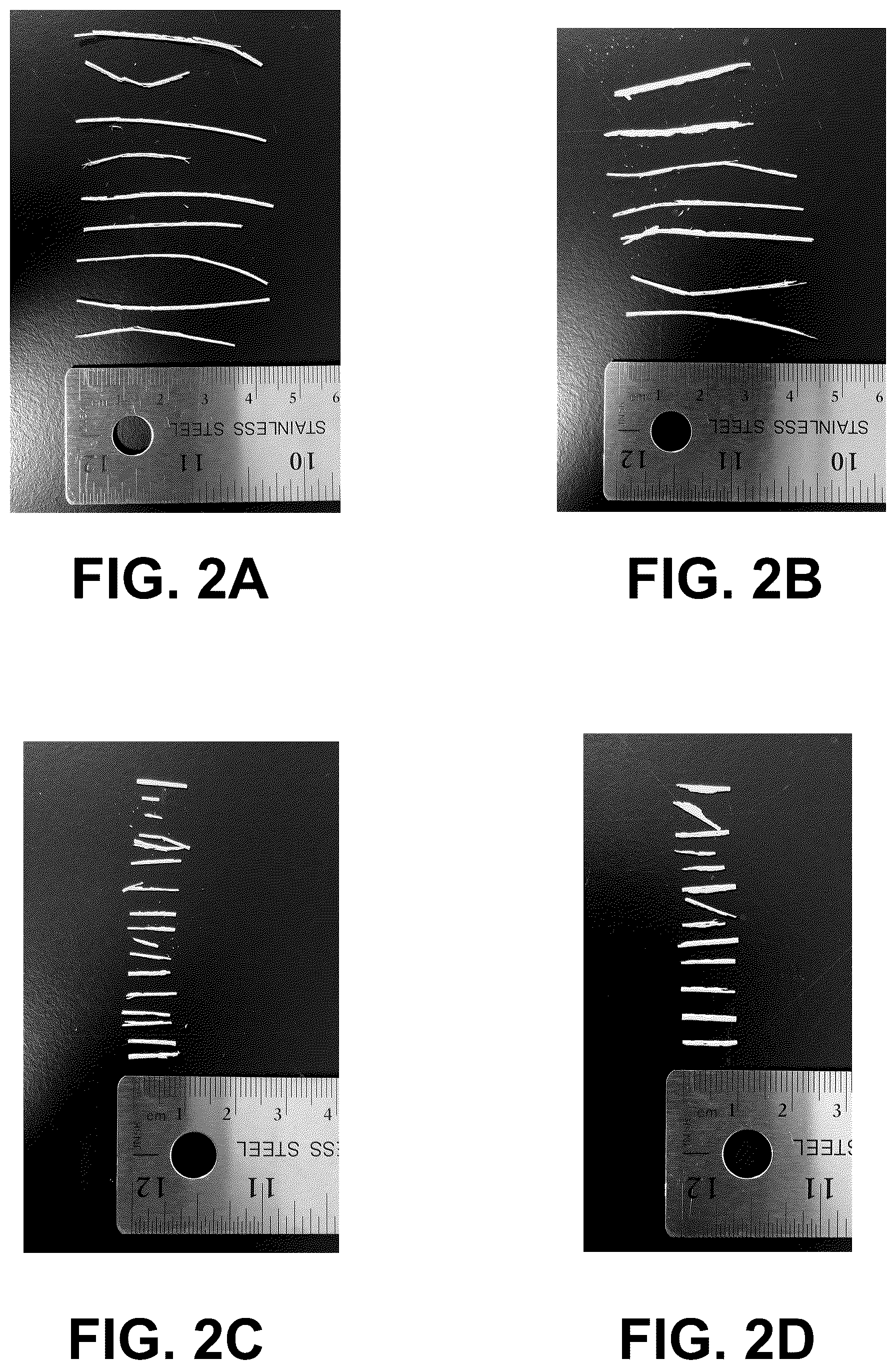 Patent US12311076 Figure 2 – Demineralized bone matrix composition with enhanced osteoinductivity and osteoconductivity