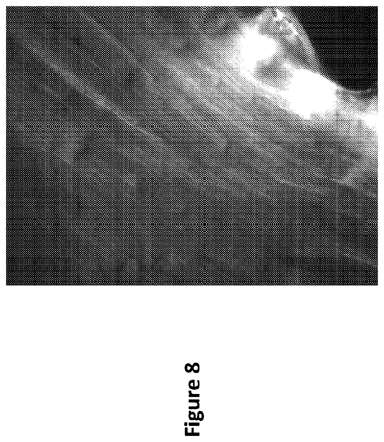 Patent US12311077 Figure 10 – Method of making, manufacturing or producing orthopedic soft tissue