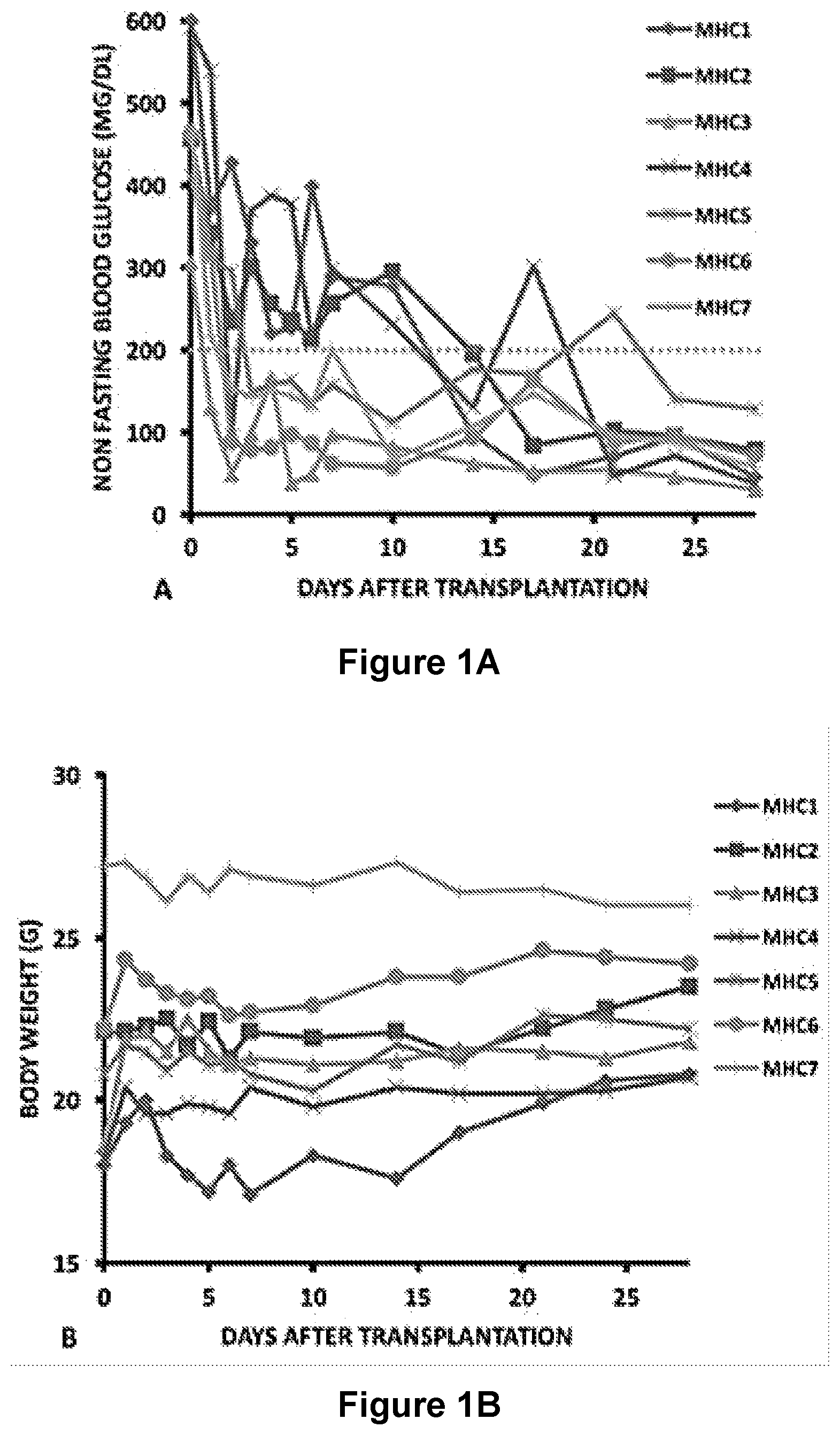 Patent US12311078 Figure 1 – Methods and compositions for cell transplantation