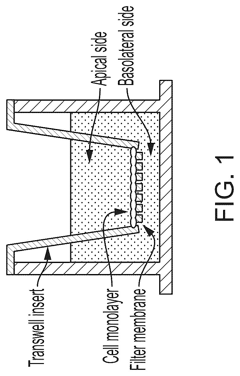 Patent US12311136 Figure 1 – Using alternating electric fields to increase permeability of the blood brain barrier