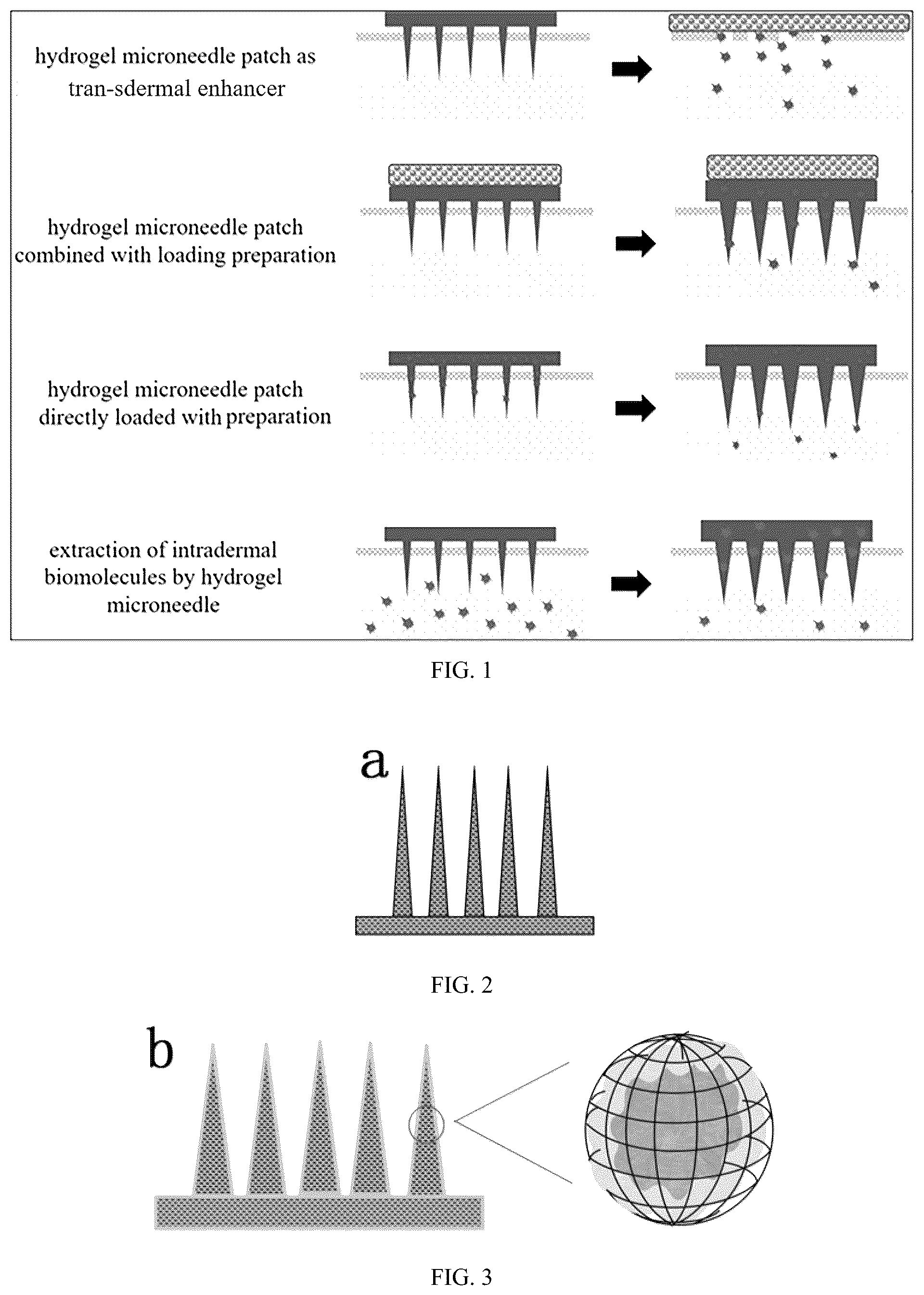 Patent US12311137 Figure 1 – Hydrogel microneedle patch based on three-dimensional framework structure, and preparation method and application thereof