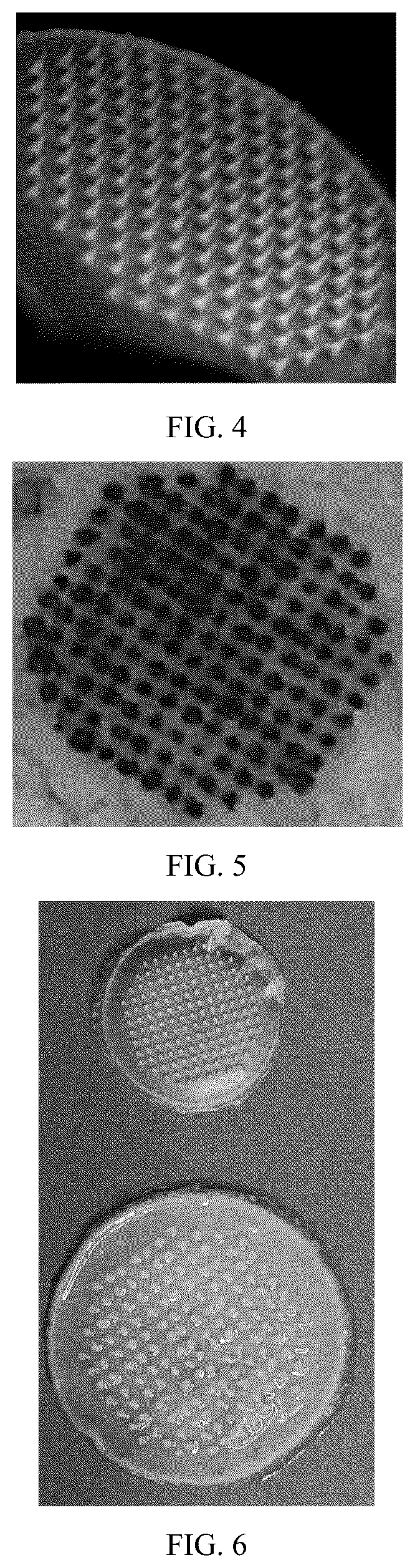 Patent US12311137 Figure 2 – Hydrogel microneedle patch based on three-dimensional framework structure, and preparation method and application thereof