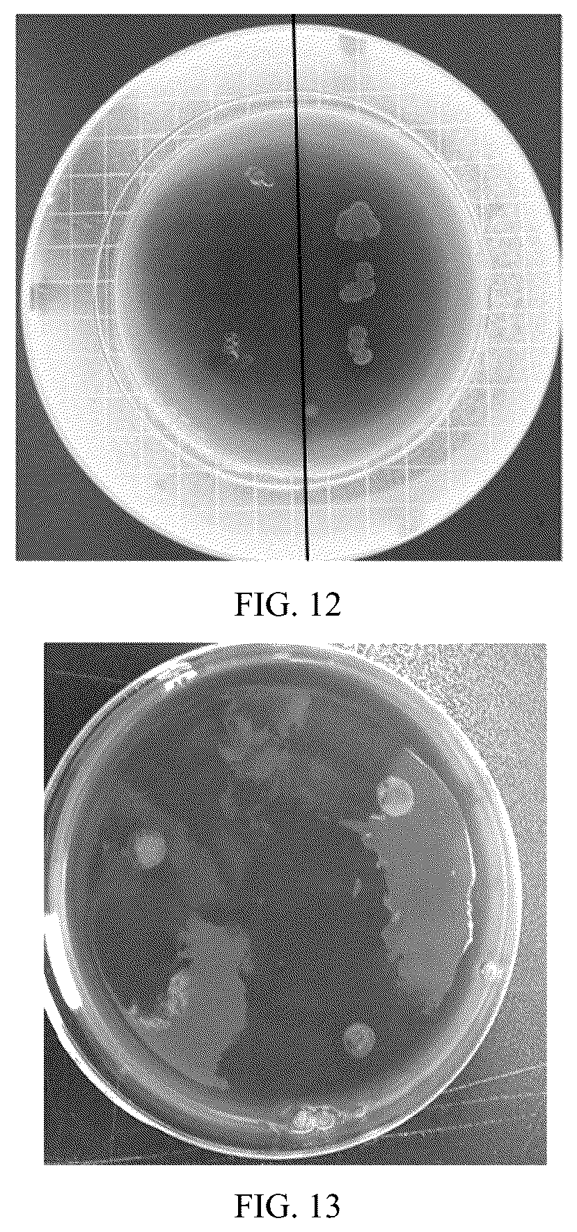 Patent US12311137 Figure 6 – Hydrogel microneedle patch based on three-dimensional framework structure, and preparation method and application thereof