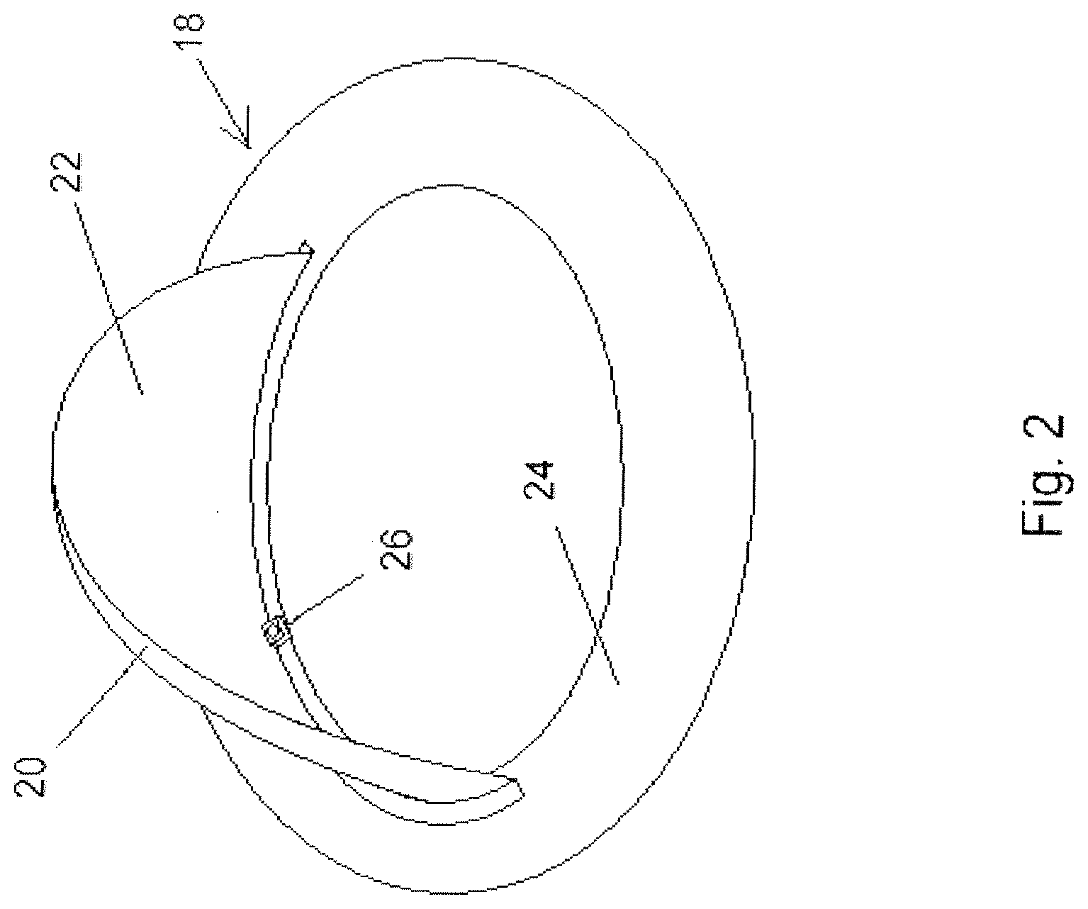 Patent US12311193 Figure 2 – Apparatus and method for inhibiting melatonin synthesis in a horse