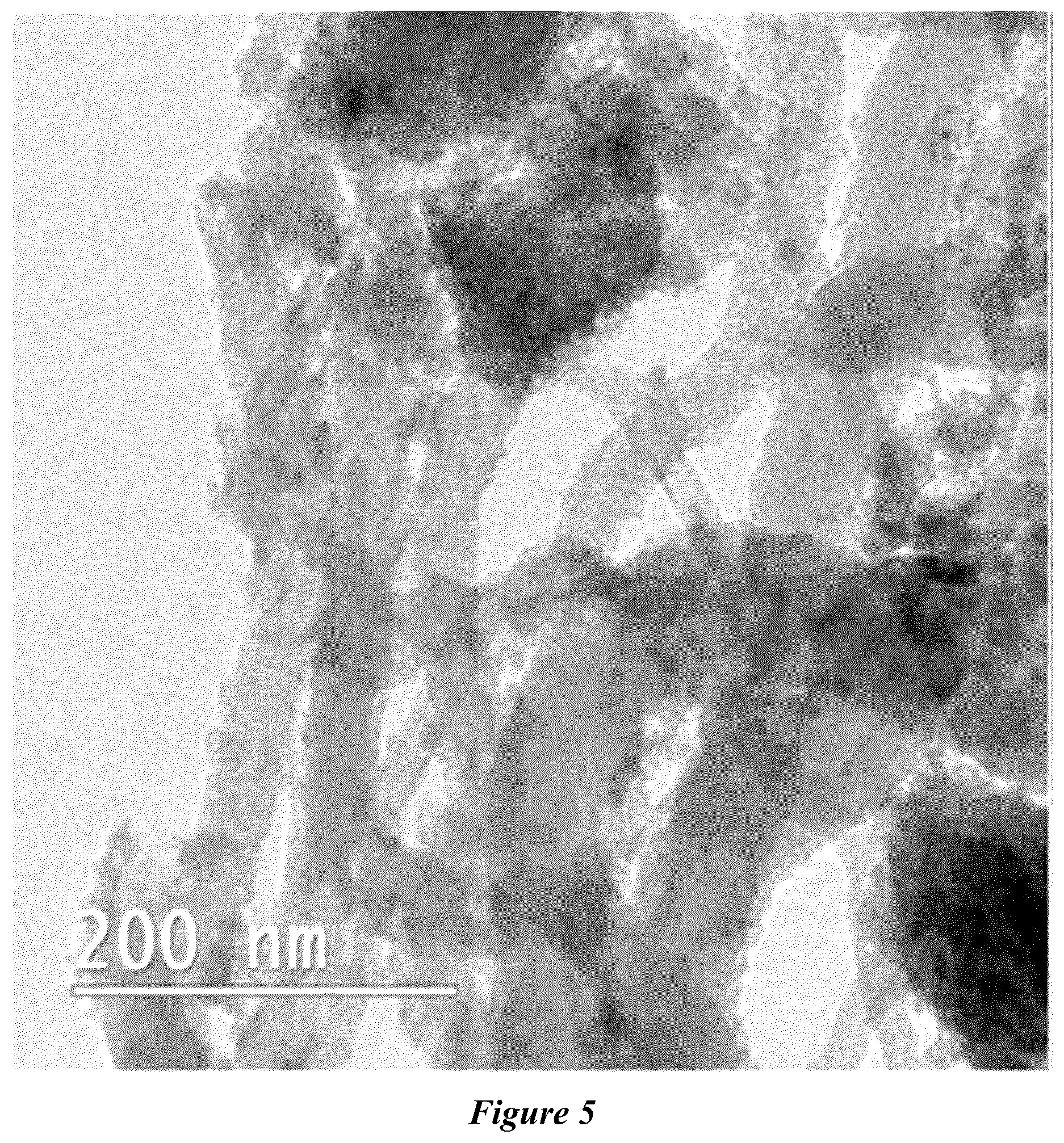 Patent US12311335 Figure 3 – Composite materials and methods of making and use thereof