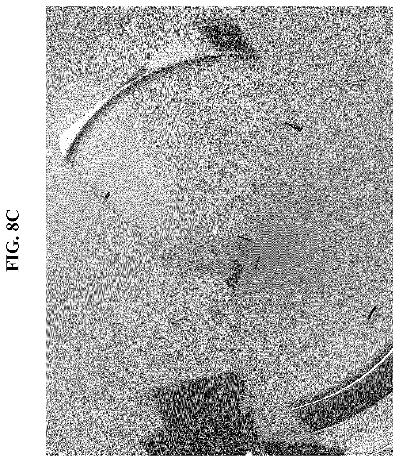 Patent US12311357 Figure 13 – Devices for sample analysis using epitachophoresis