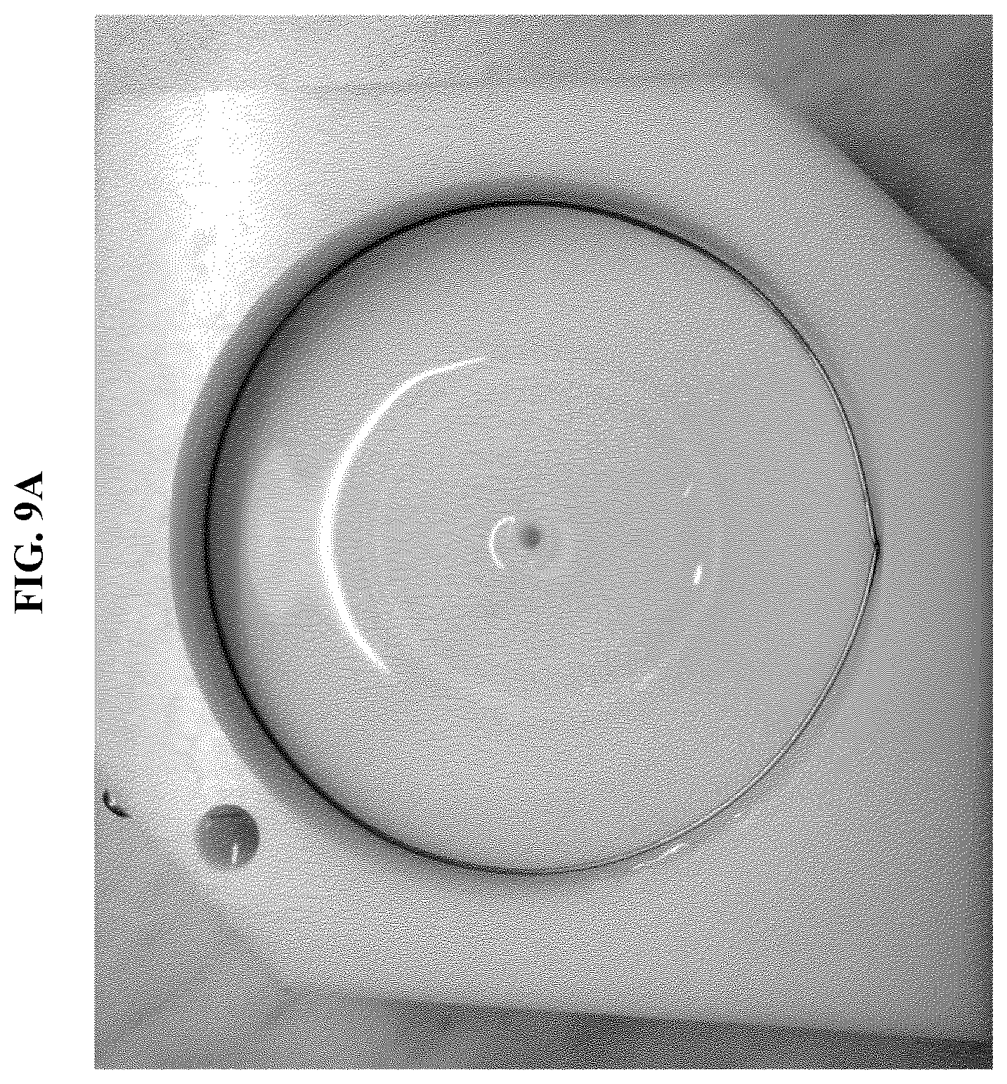 Patent US12311357 Figure 14 – Devices for sample analysis using epitachophoresis